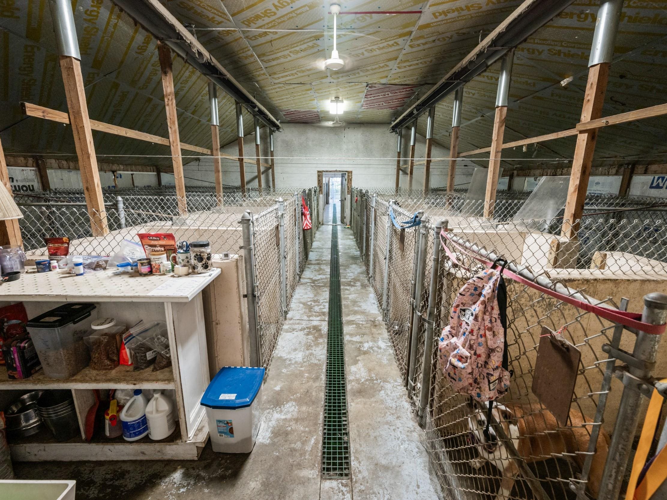 MLS #5062258 image #23