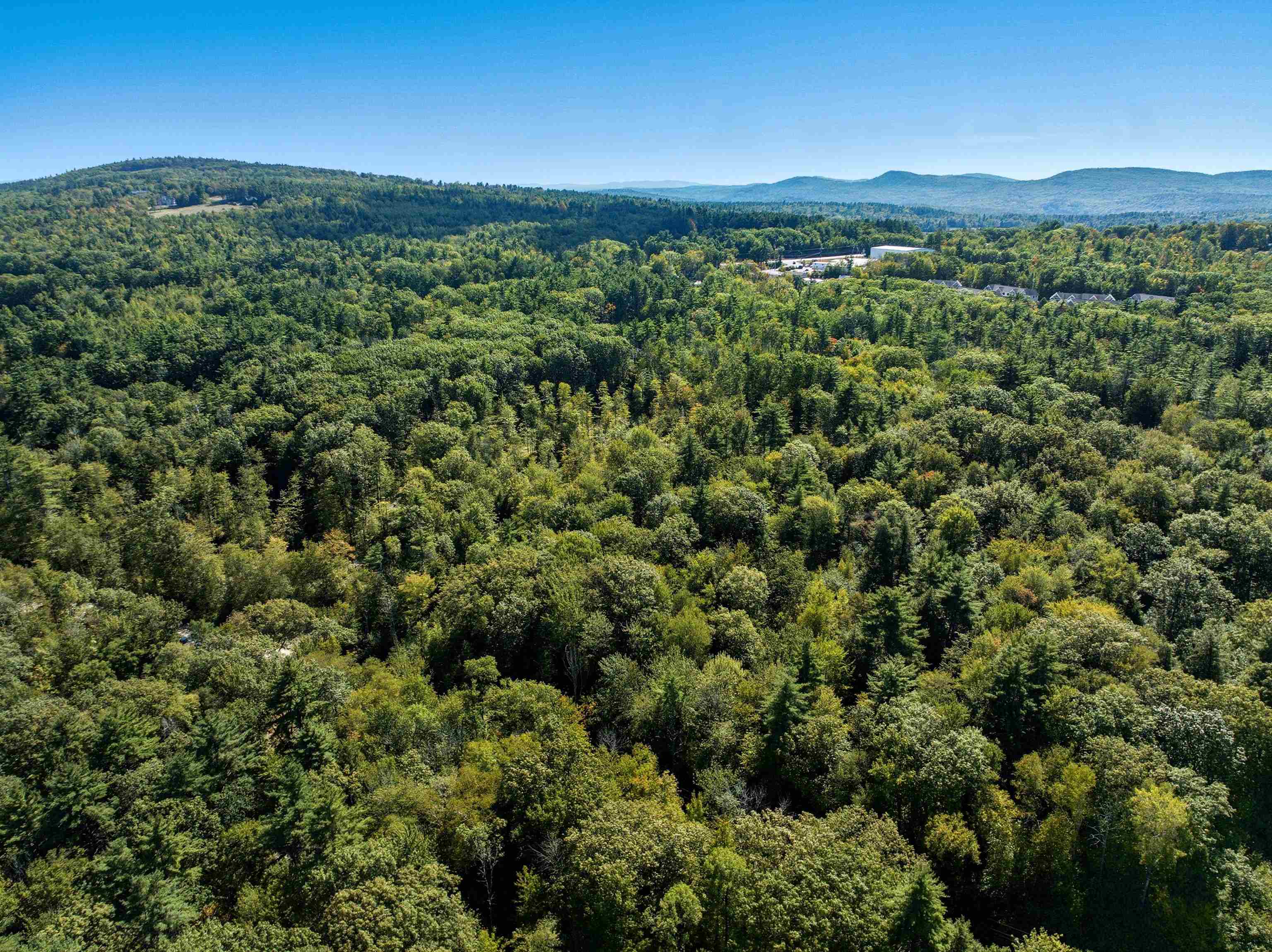 MLS #5062335 image #4