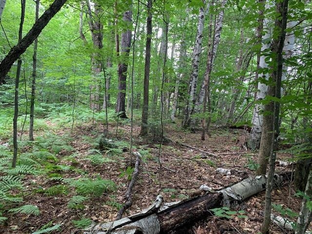 POMFRET VT LAND  for sale $$140,000 | 11.3 Acres  | Price Per Acre $0 