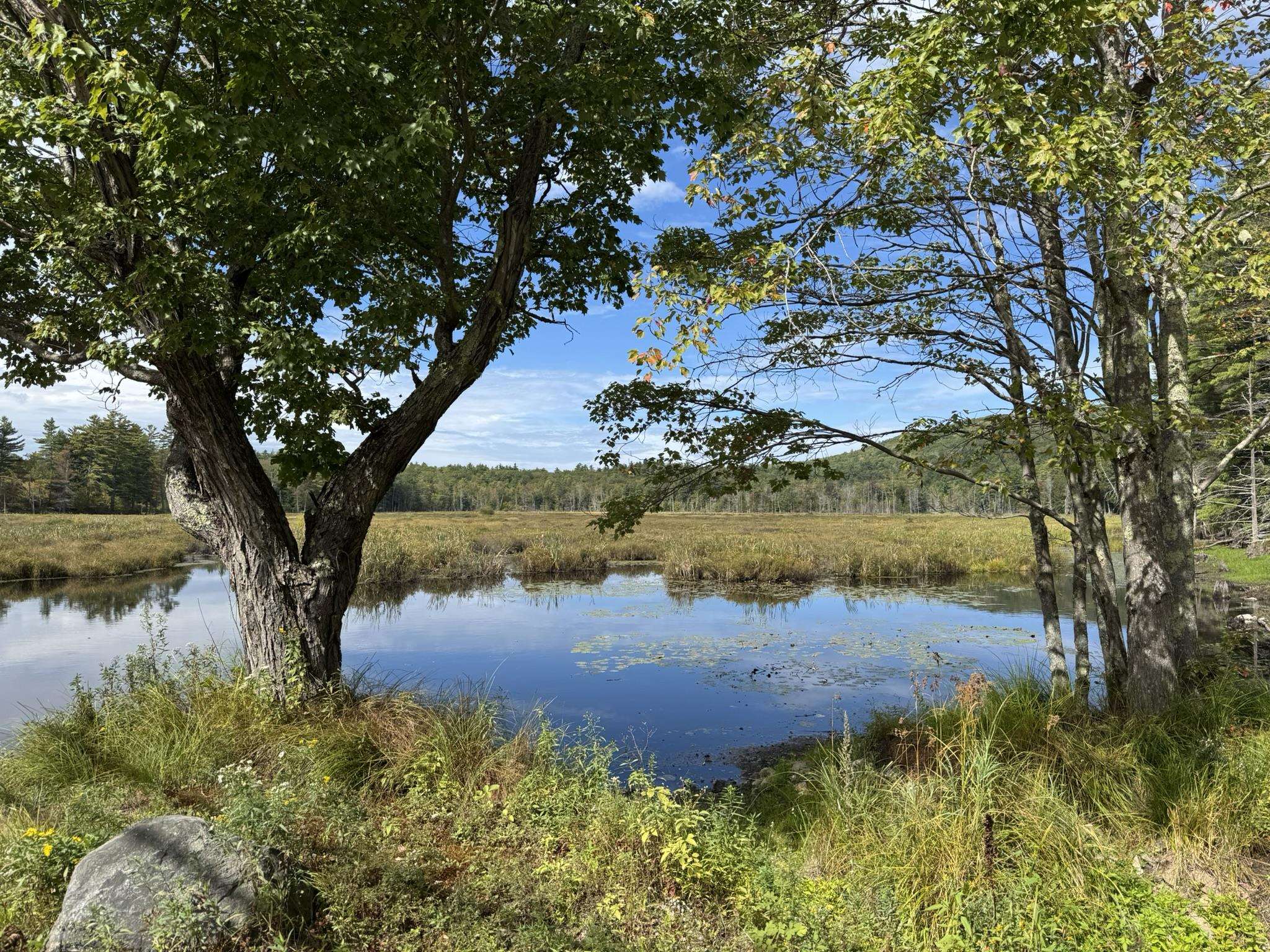 Homes for sale in Greenfield, NH | 181 Francestown Rd, Greenfield, NH 03047 | MLS# 5062362