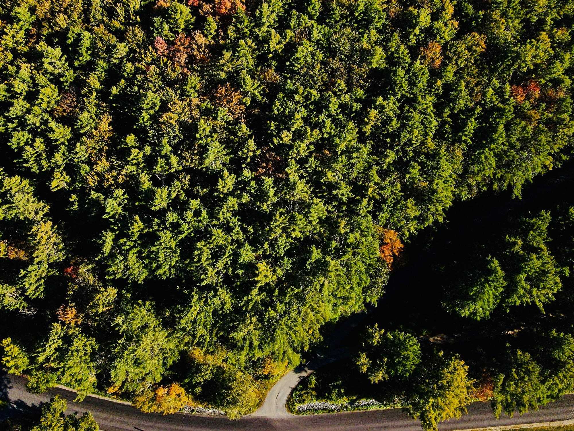 Hartford VT Land for sale $215,000 | 22.29 Acres  | Price Per Acre $0 