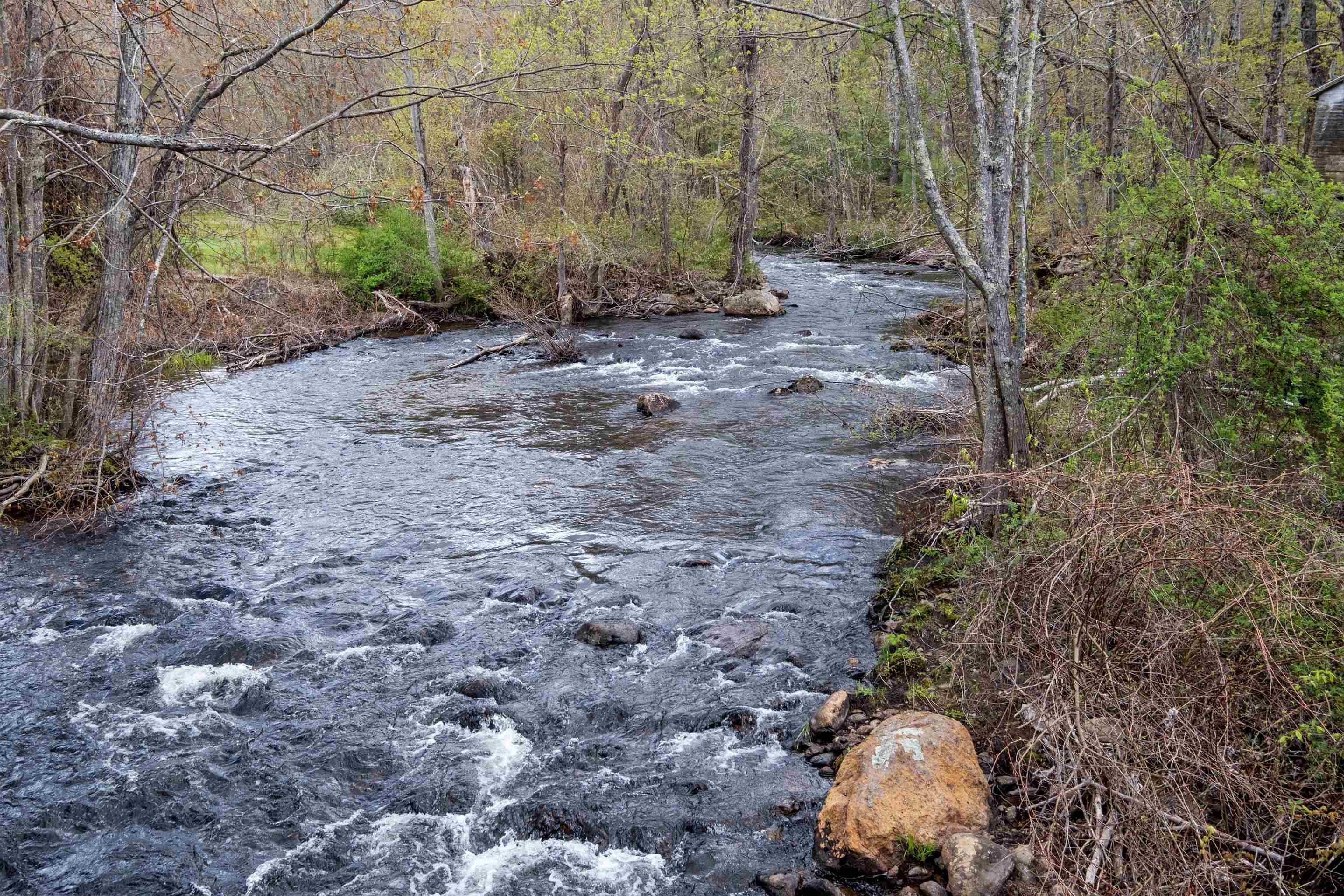 MLS #5062390 image #1