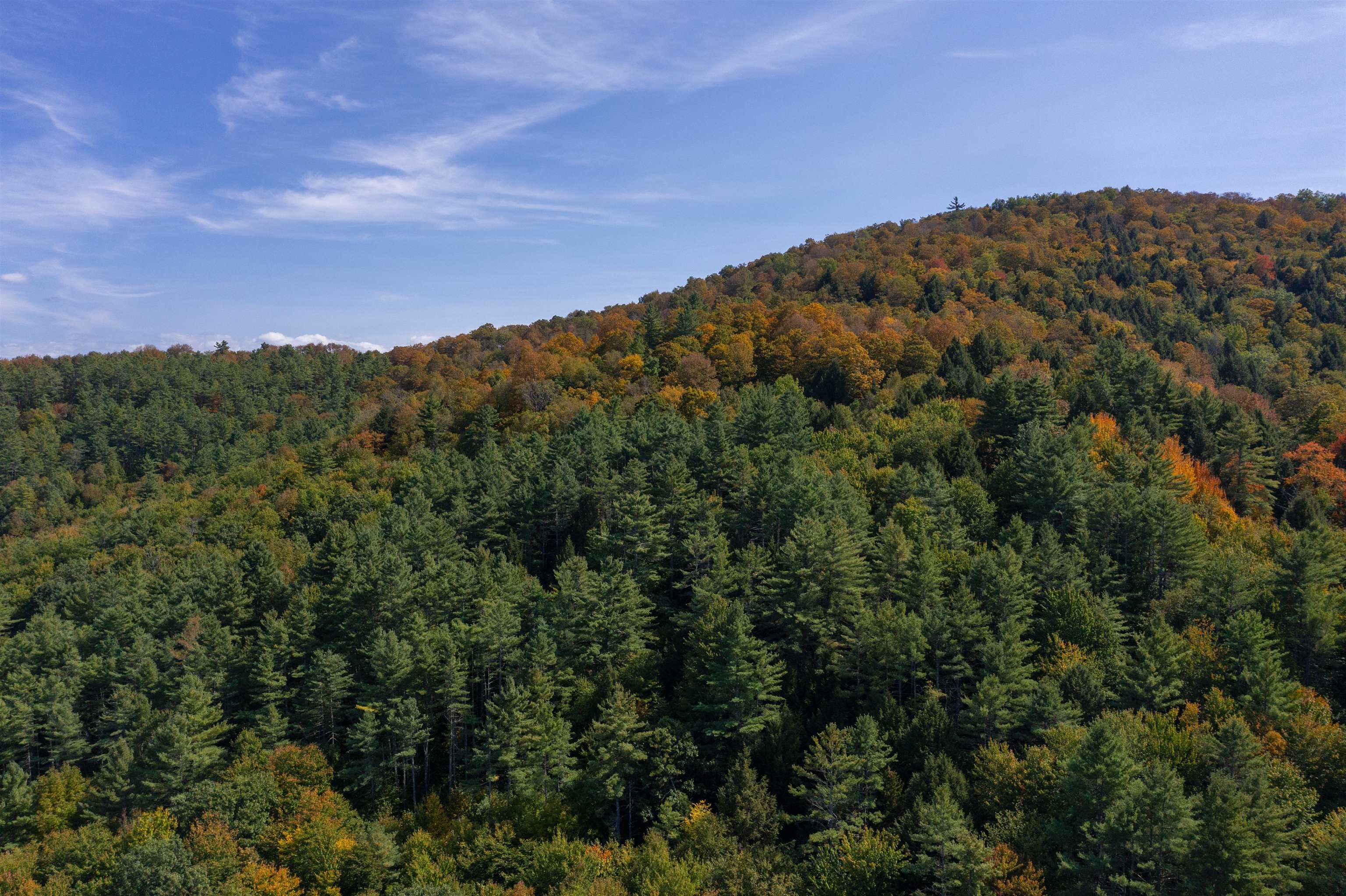 SHARON VT LAND  for sale $$225,000 | 15.4 Acres  | Price Per Acre $0  | Total Lots 2