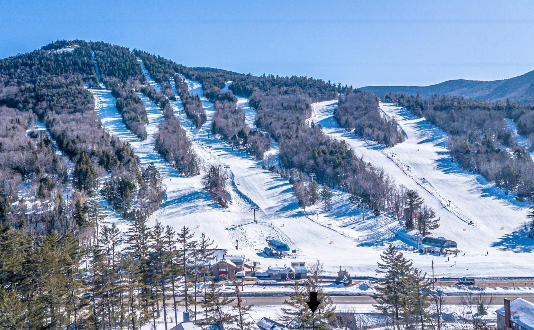 Homes for sale in Bartlett, NH | 3 River Run Dr #A, Bartlett, NH 03812 | MLS# 5062555