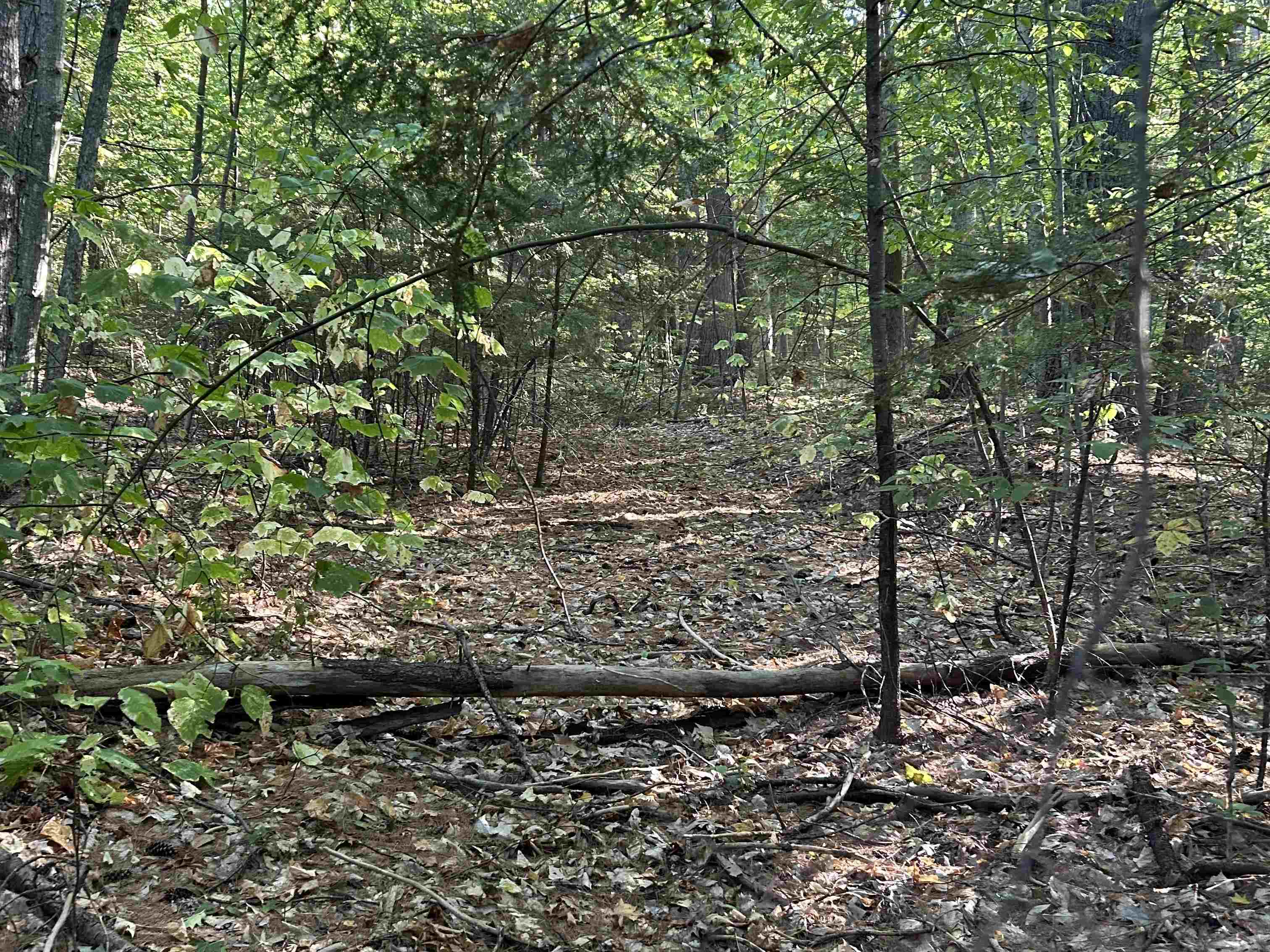 Campton NH Land for sale $$99,900 | 12.7 Acres  | Price Per Acre $0 