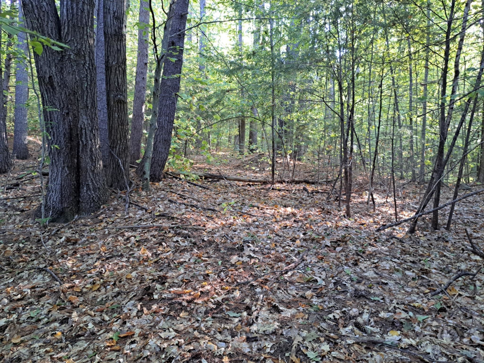 MLS #5062569 image #1