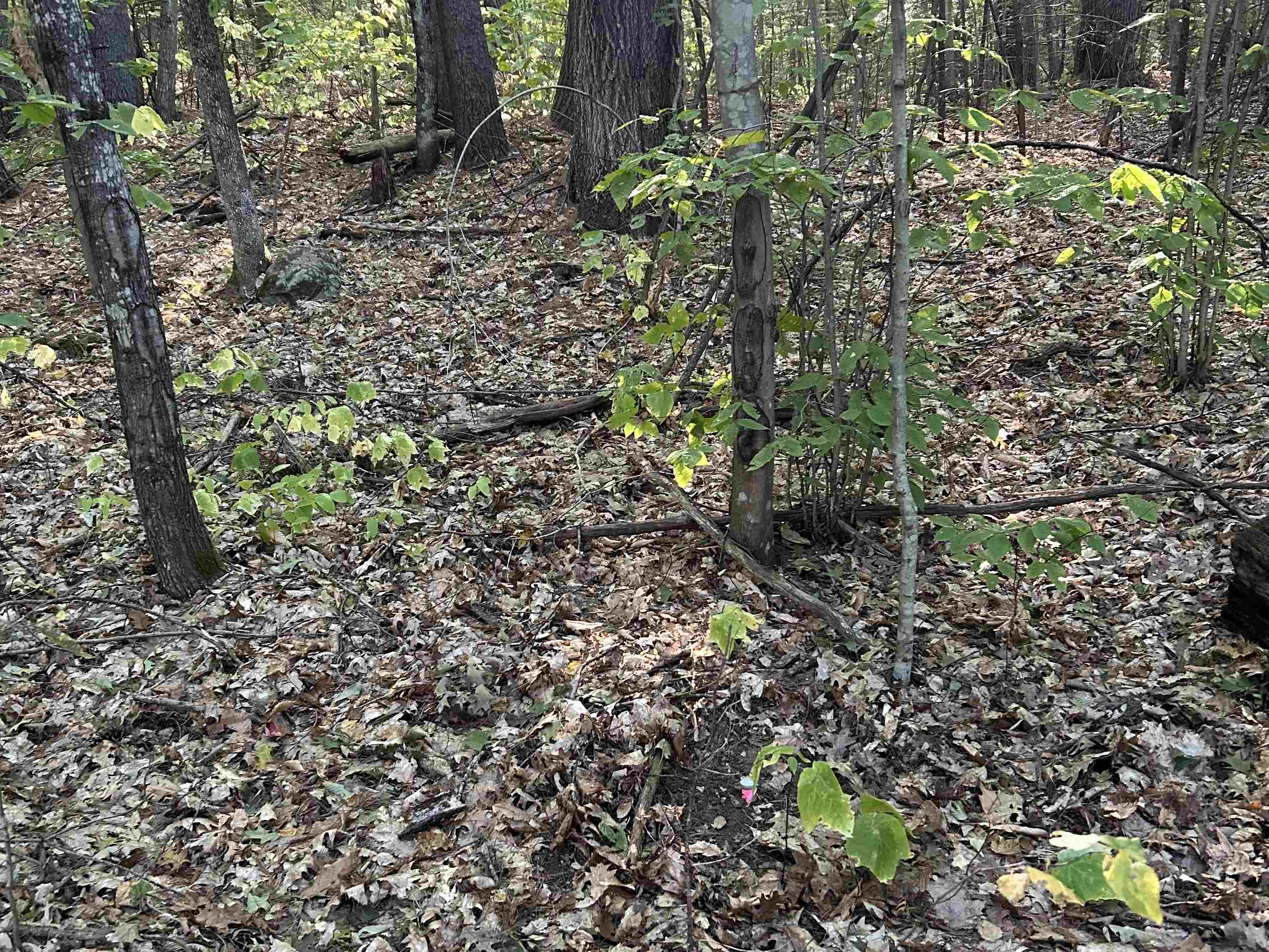 MLS #5062569 image #2