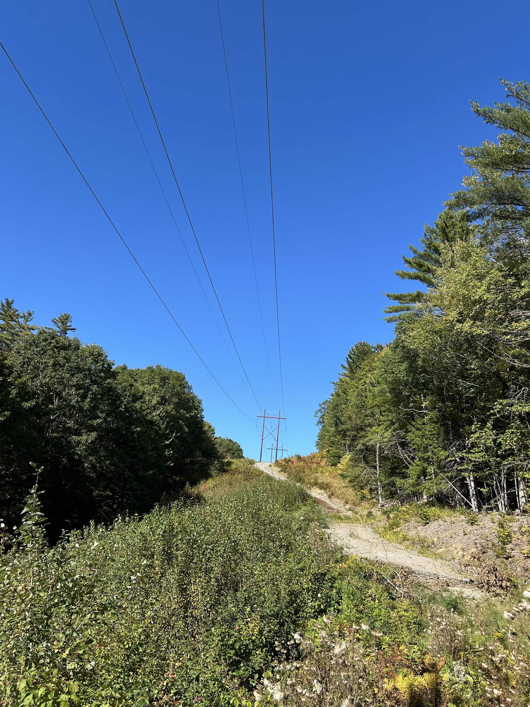 MLS #5062569 image #8