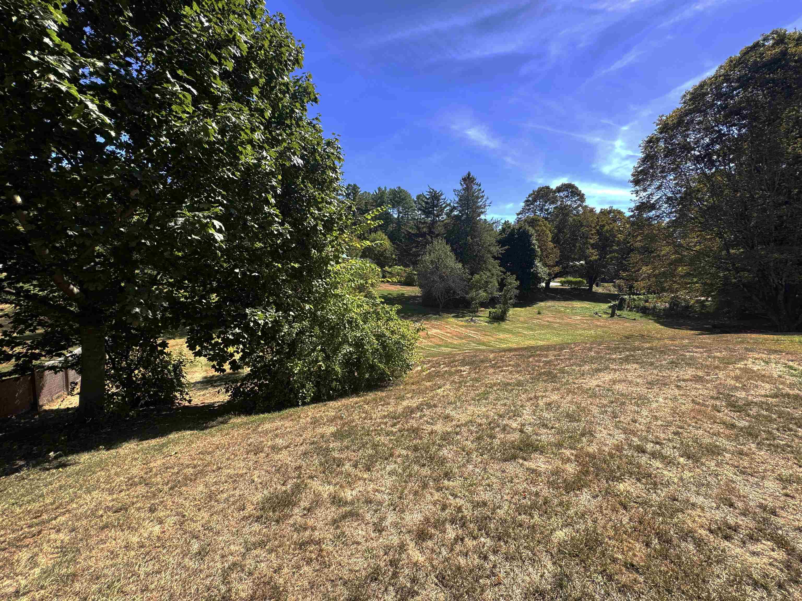 Beautiful and big backyard 24131837