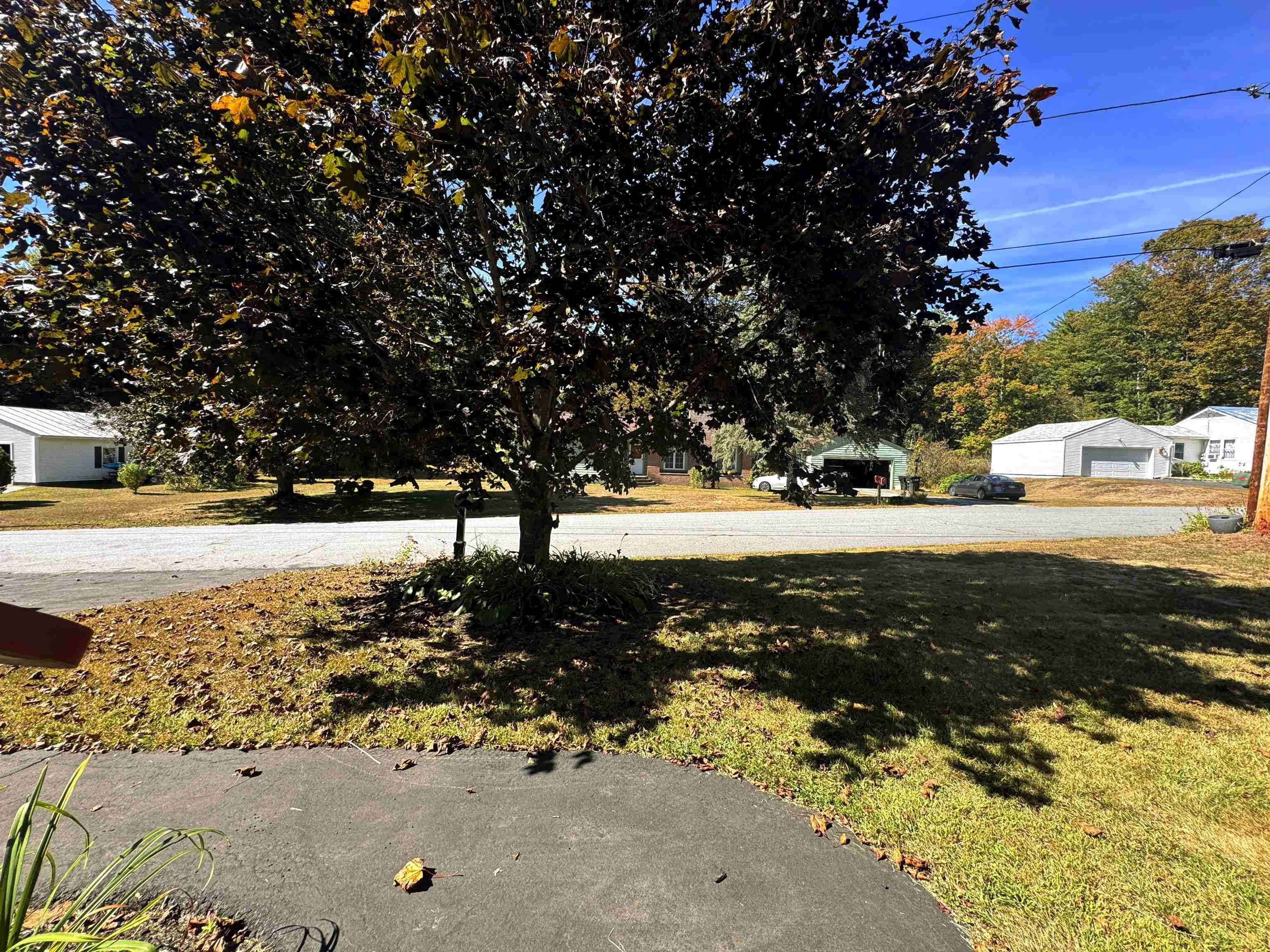 Welcoming and well maintained frontyard 24129154