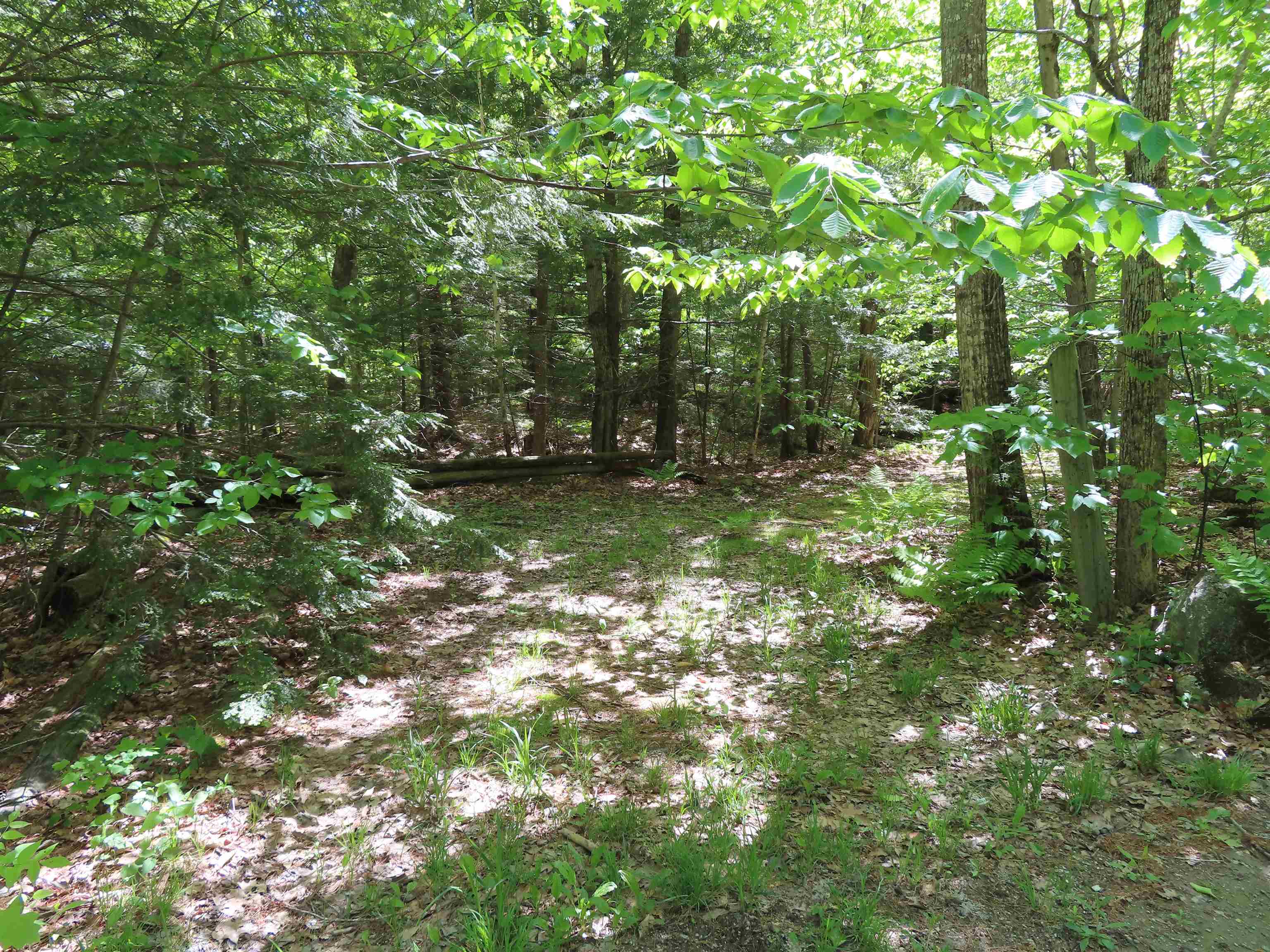 Lot 5-2-1 Jesus Valley Rd, Alton, NH 03810