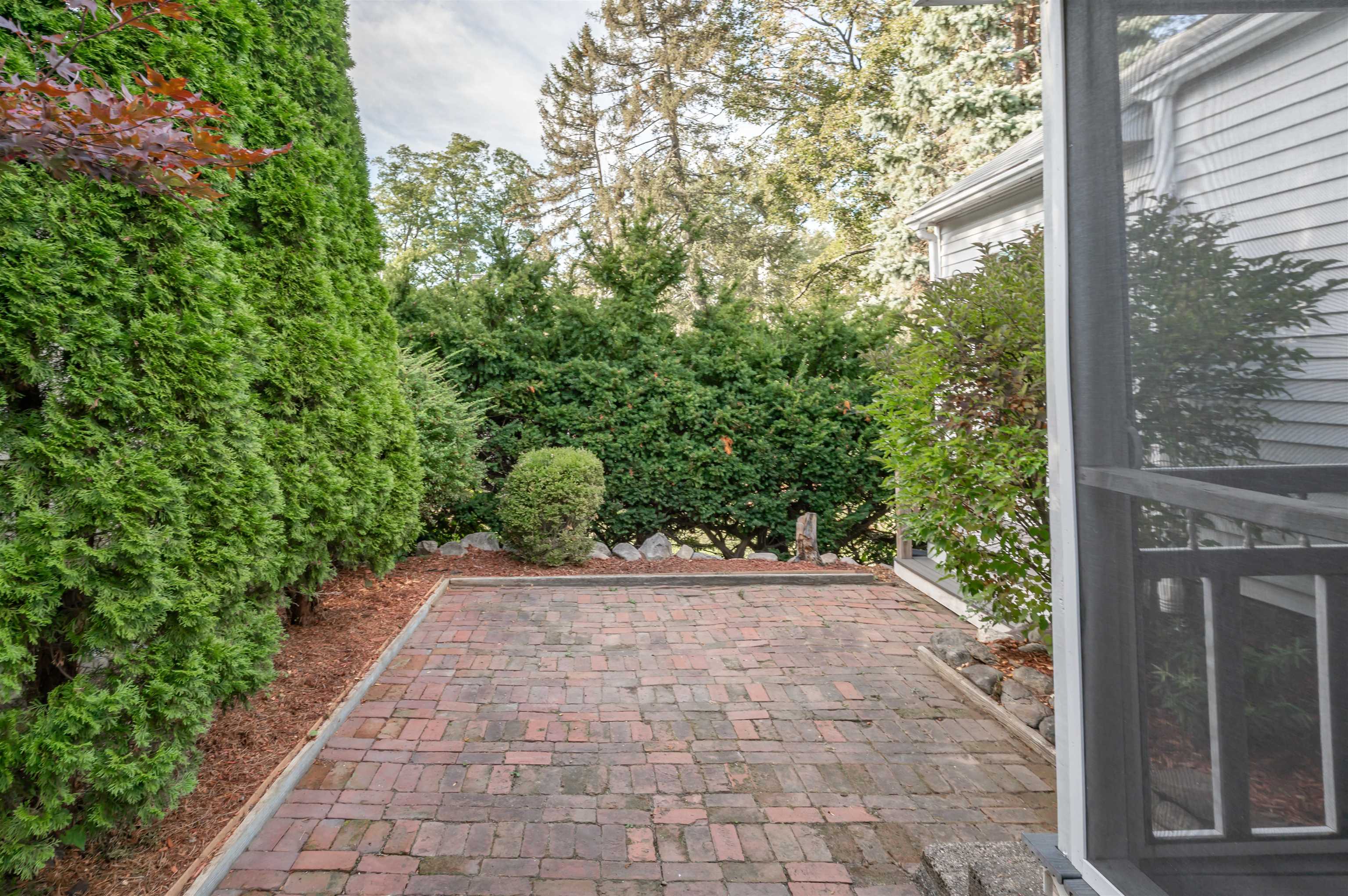 Beautiful Greenery Buffer!