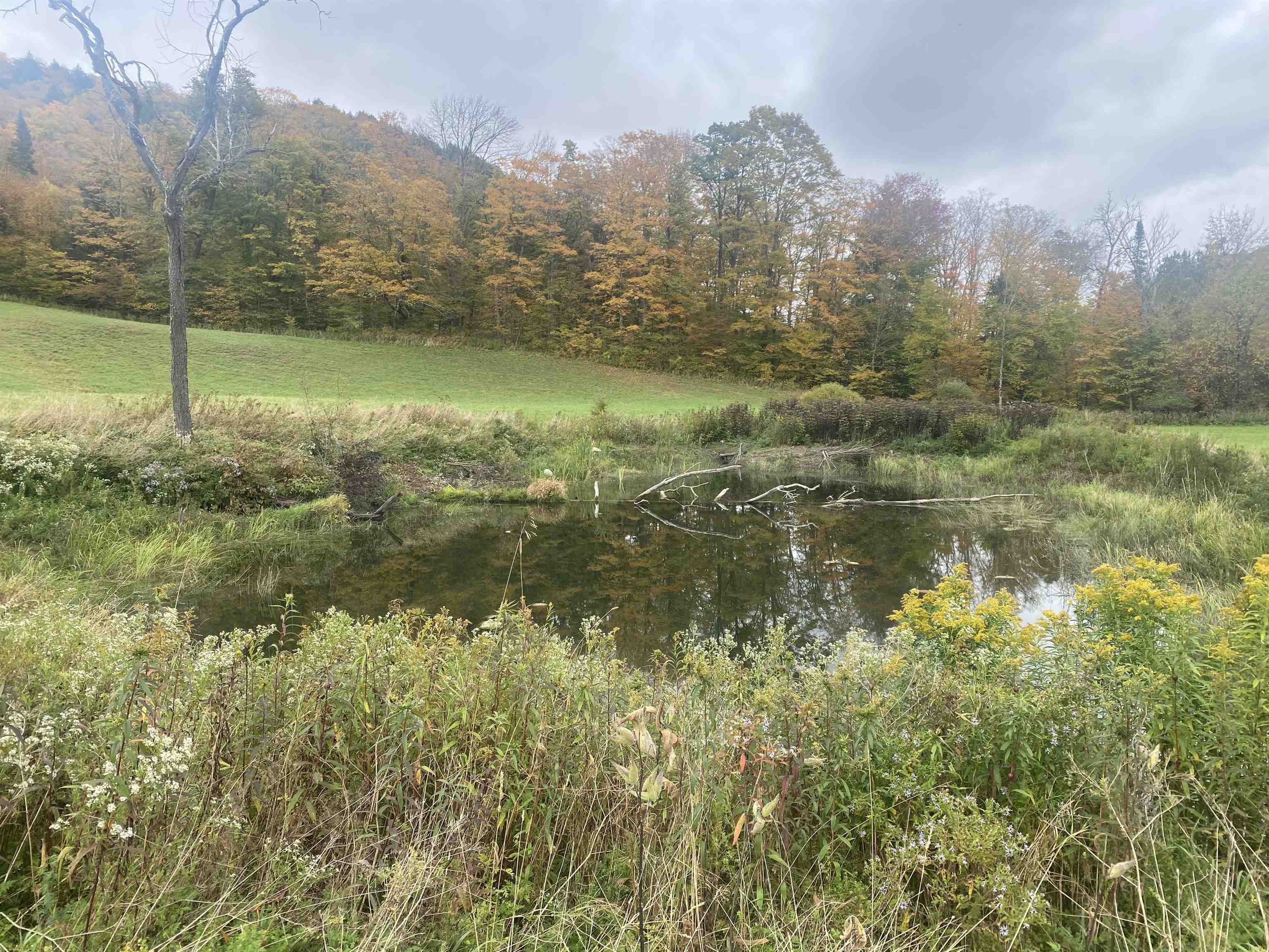 Homes for sale in Chelsea, VT | 620 Vt Route 110, Chelsea, VT 05038 | MLS# 5062722