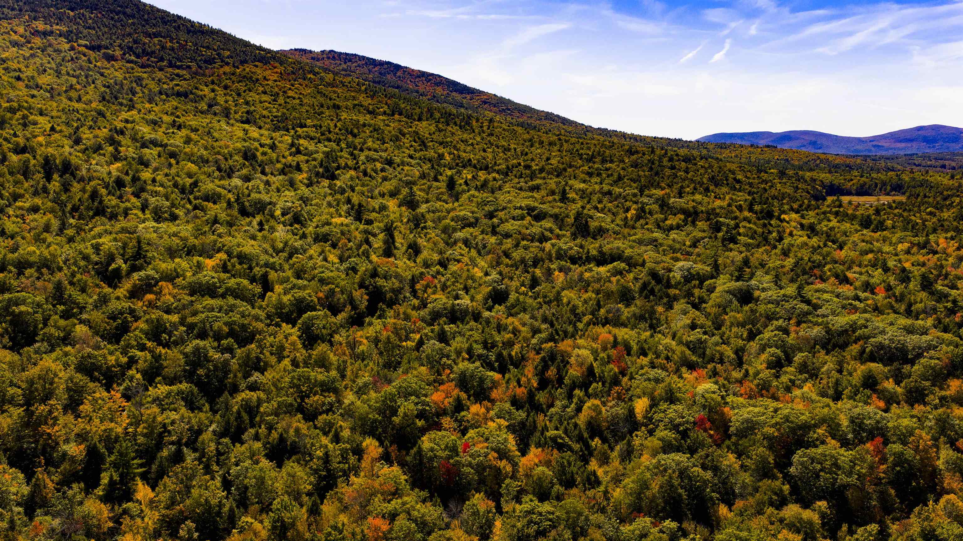 MLS #5062872 image #13