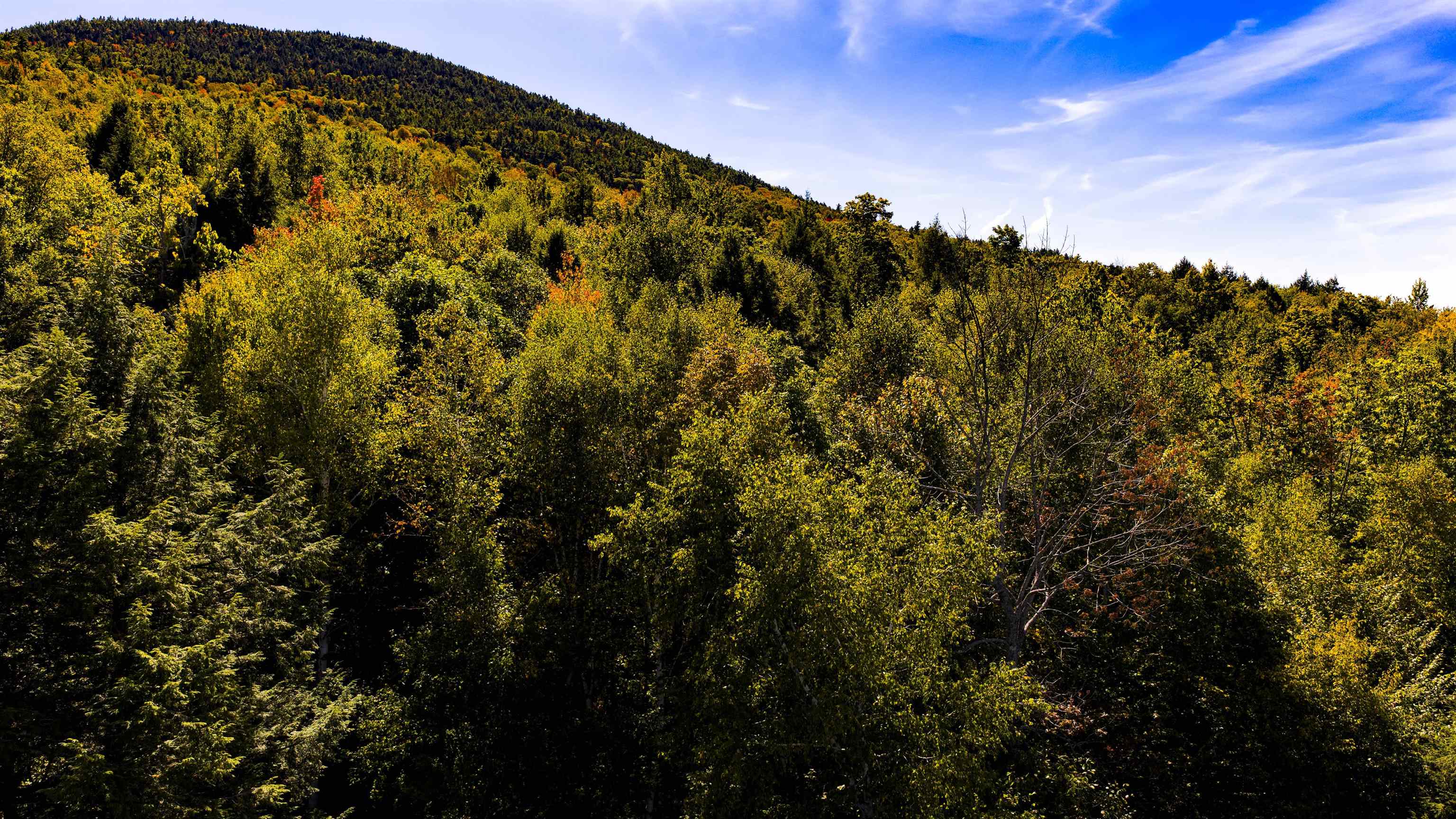 MLS #5062872 image #14