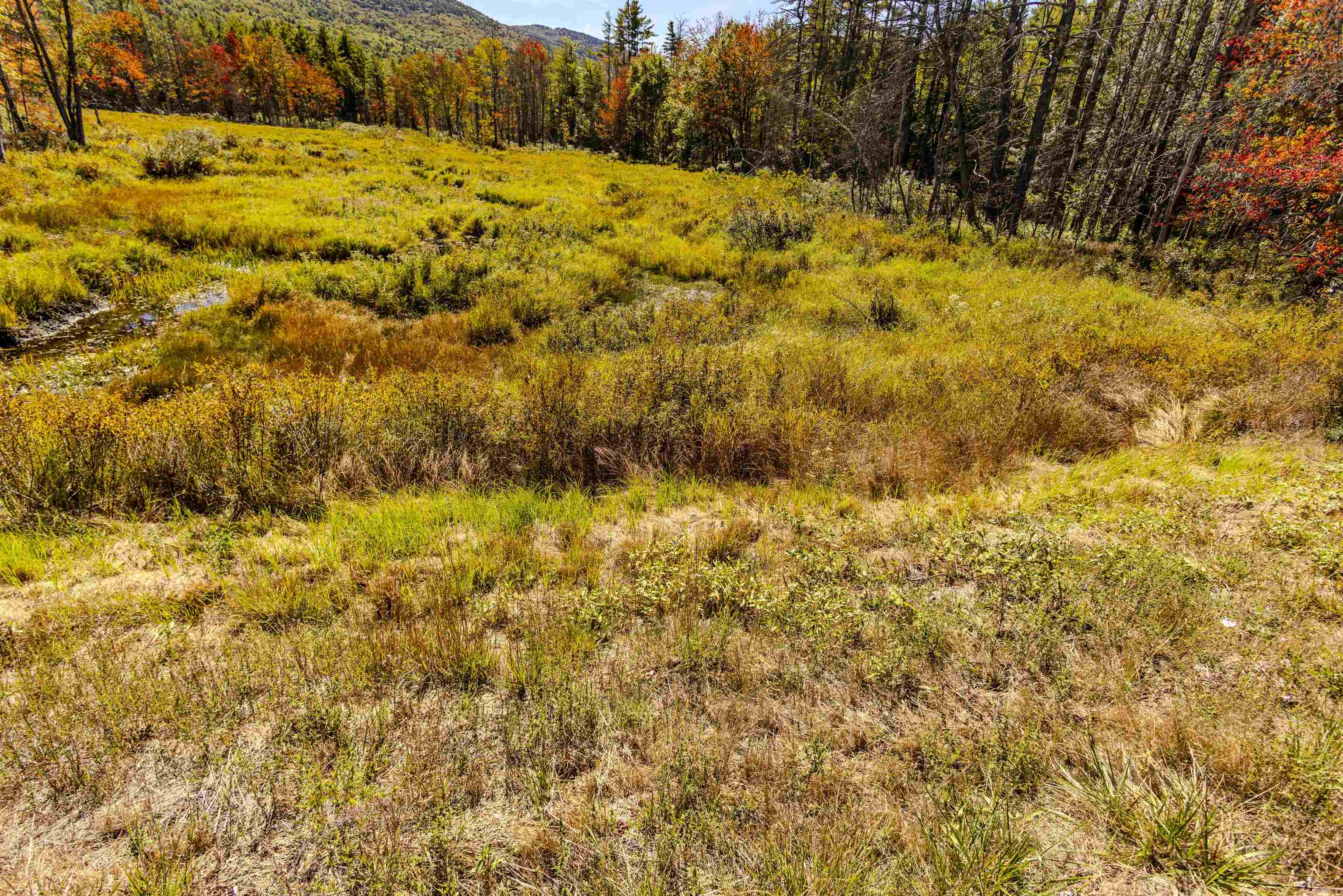 MLS #5062872 image #23