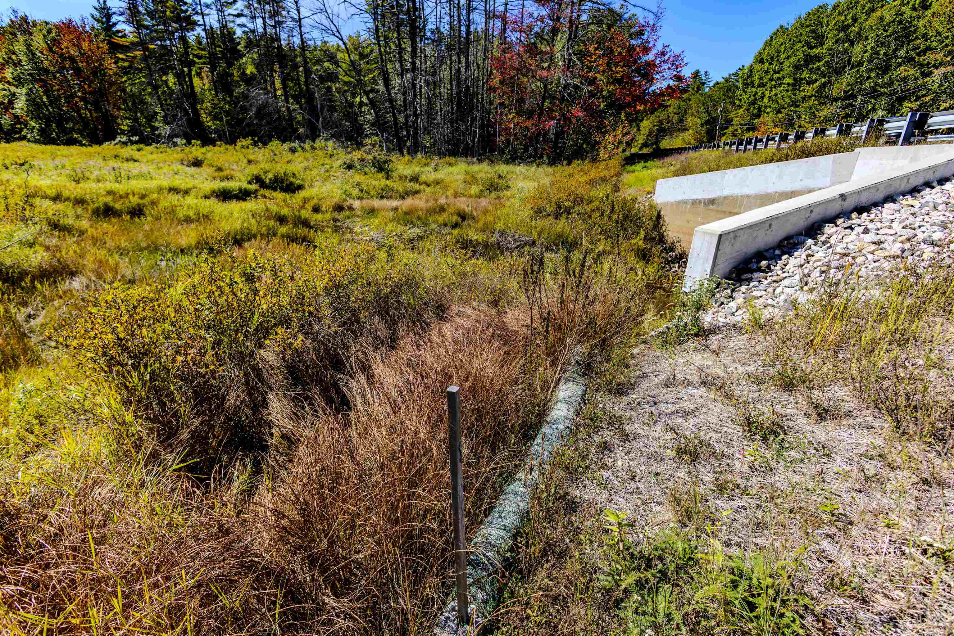 MLS #5062872 image #29