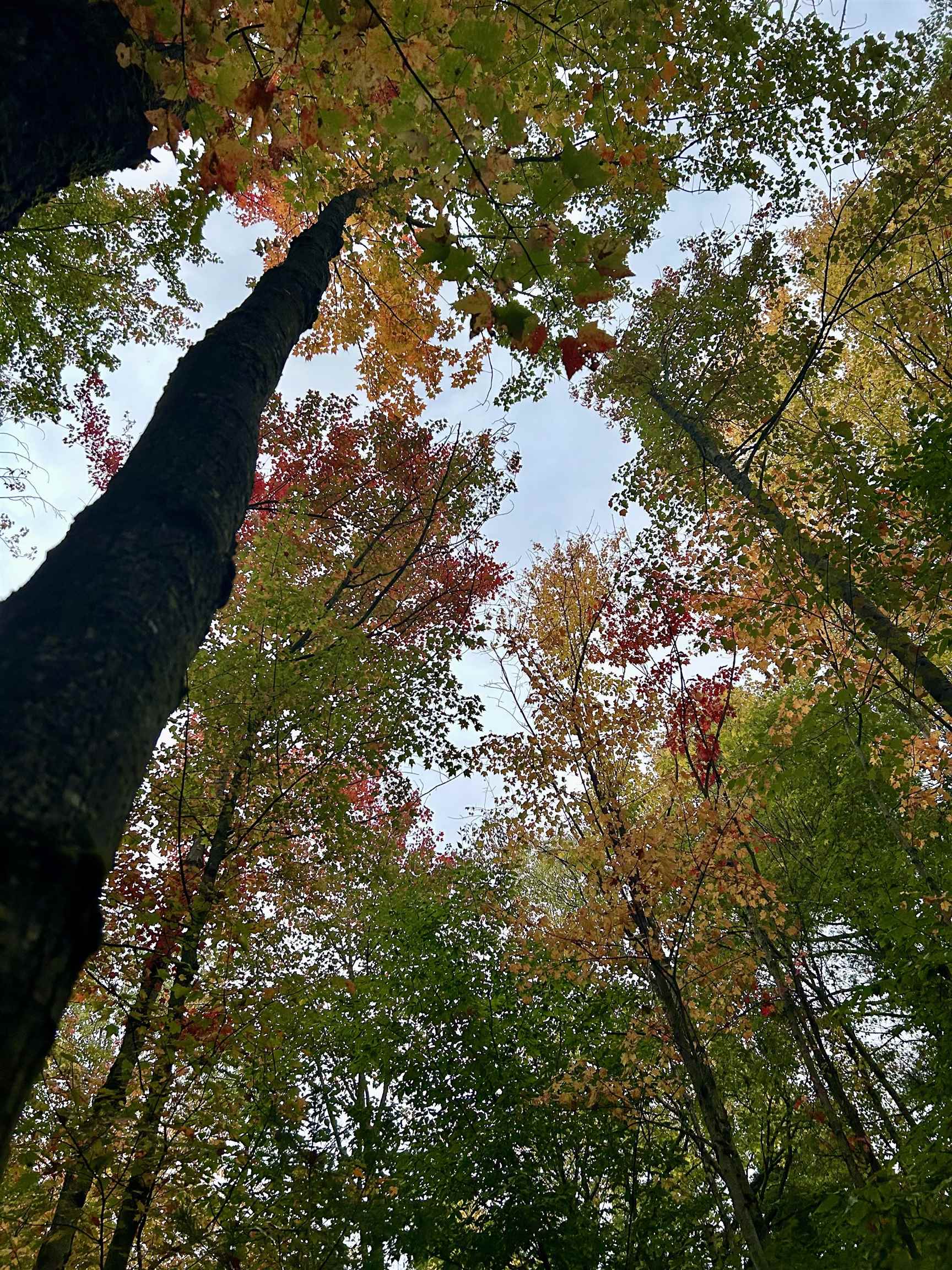 Homes for sale in Fairfield, VT | Tbd Pumpkin Village Rd, Fairfield, VT 05455 | MLS# 5062934