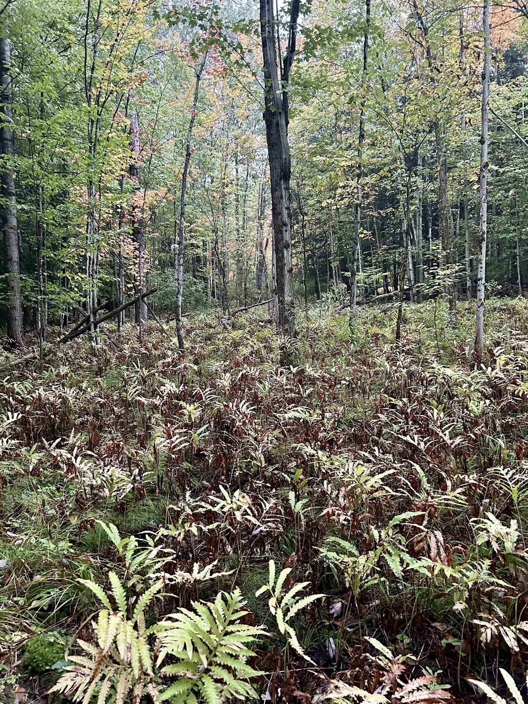 Homes for sale in Fairfield, VT | Tbd Pumpkin Village Rd, Fairfield, VT 05455 | MLS# 5062934