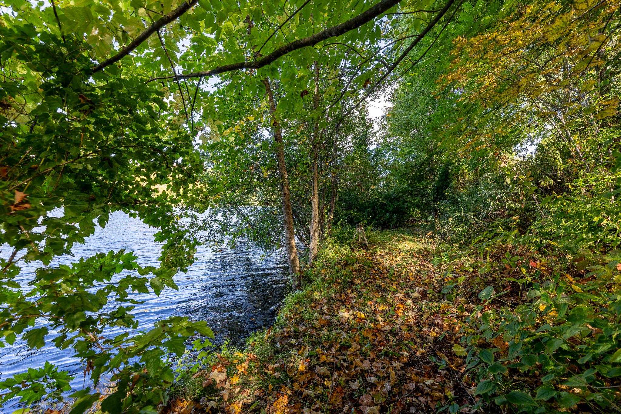 path to the river 24151921