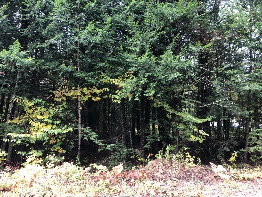 122 Centennial Dr, Webster, NH 03303