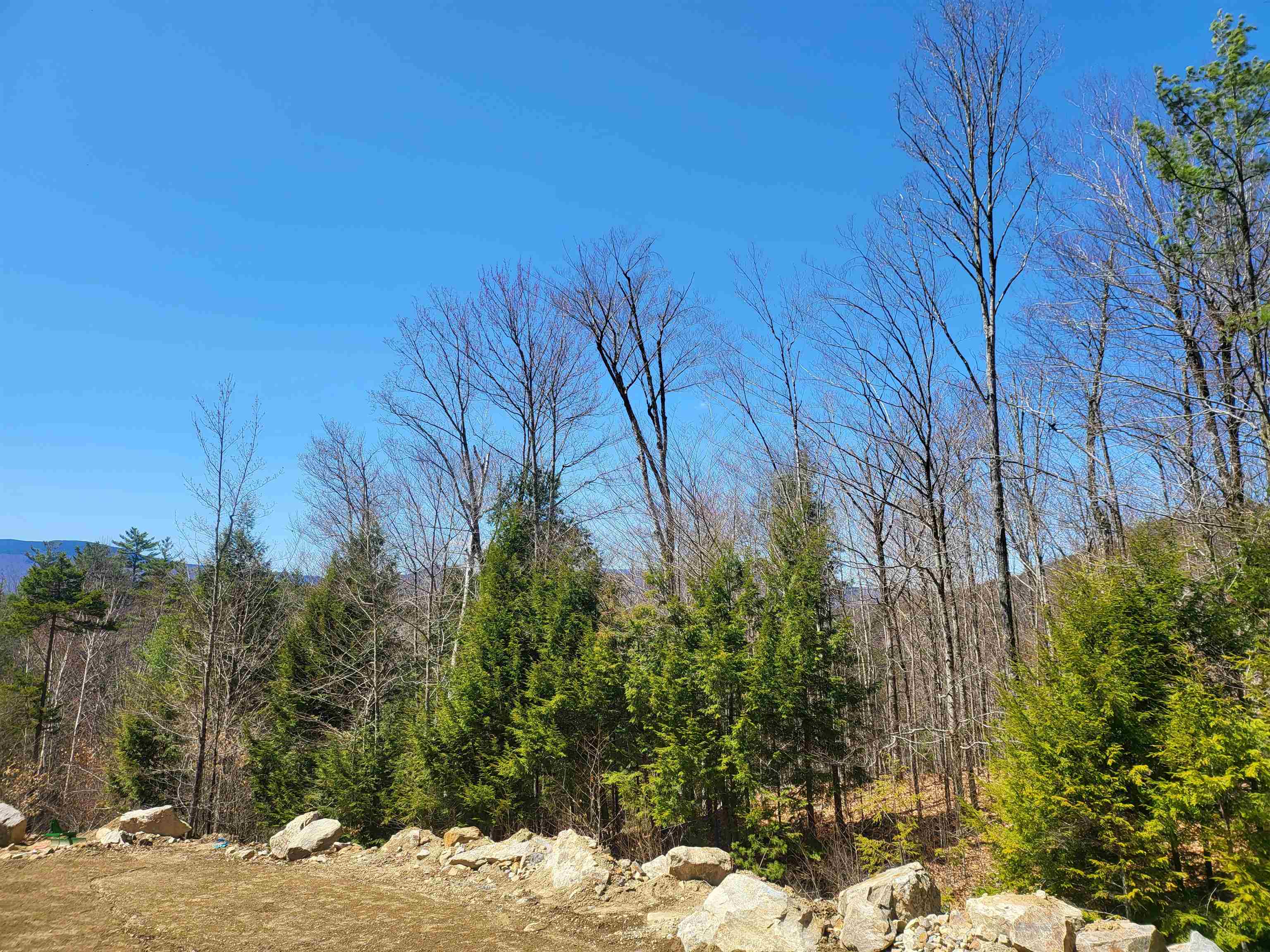 MLS #5063029 image #28