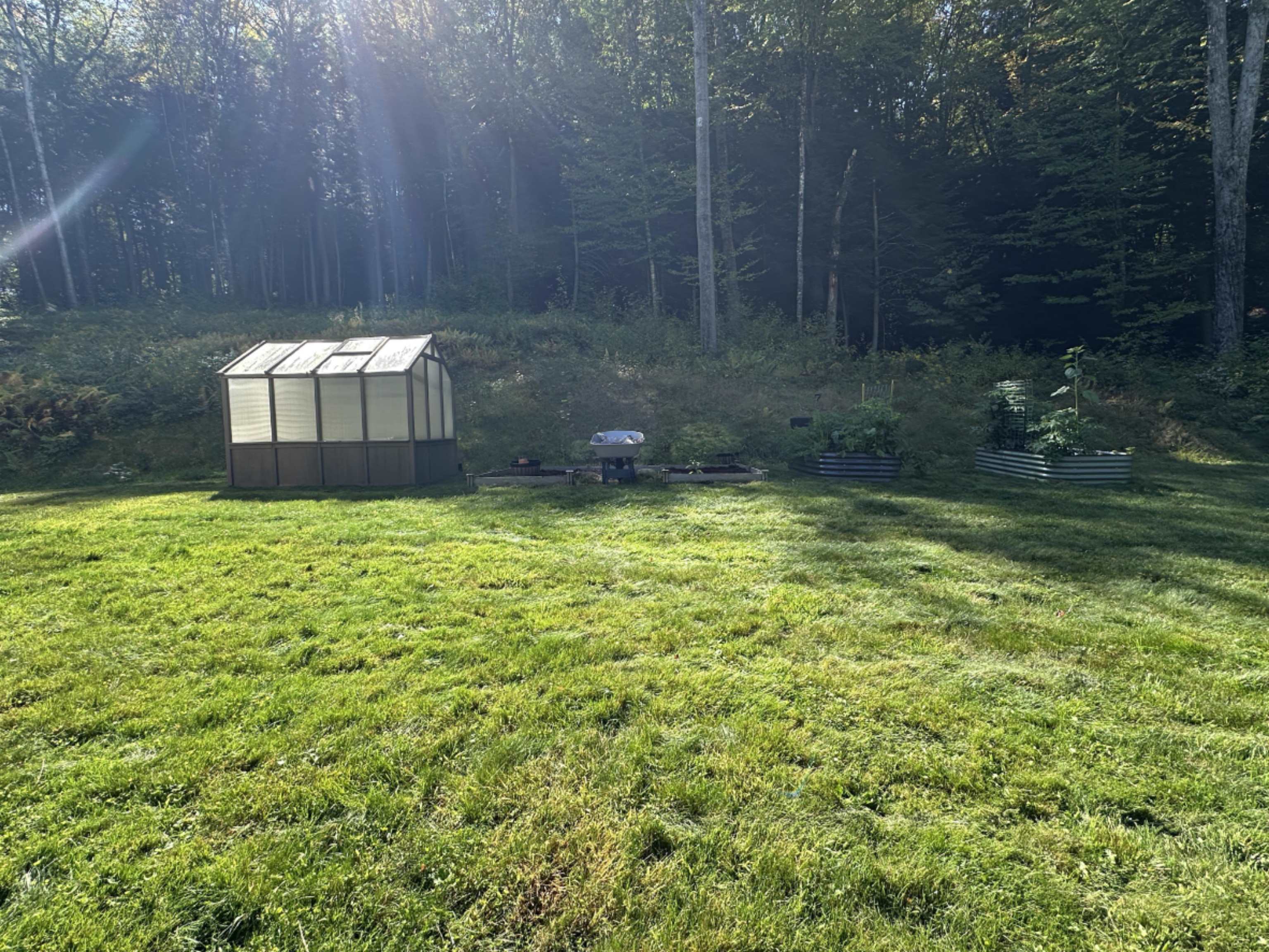 Right side and back yard