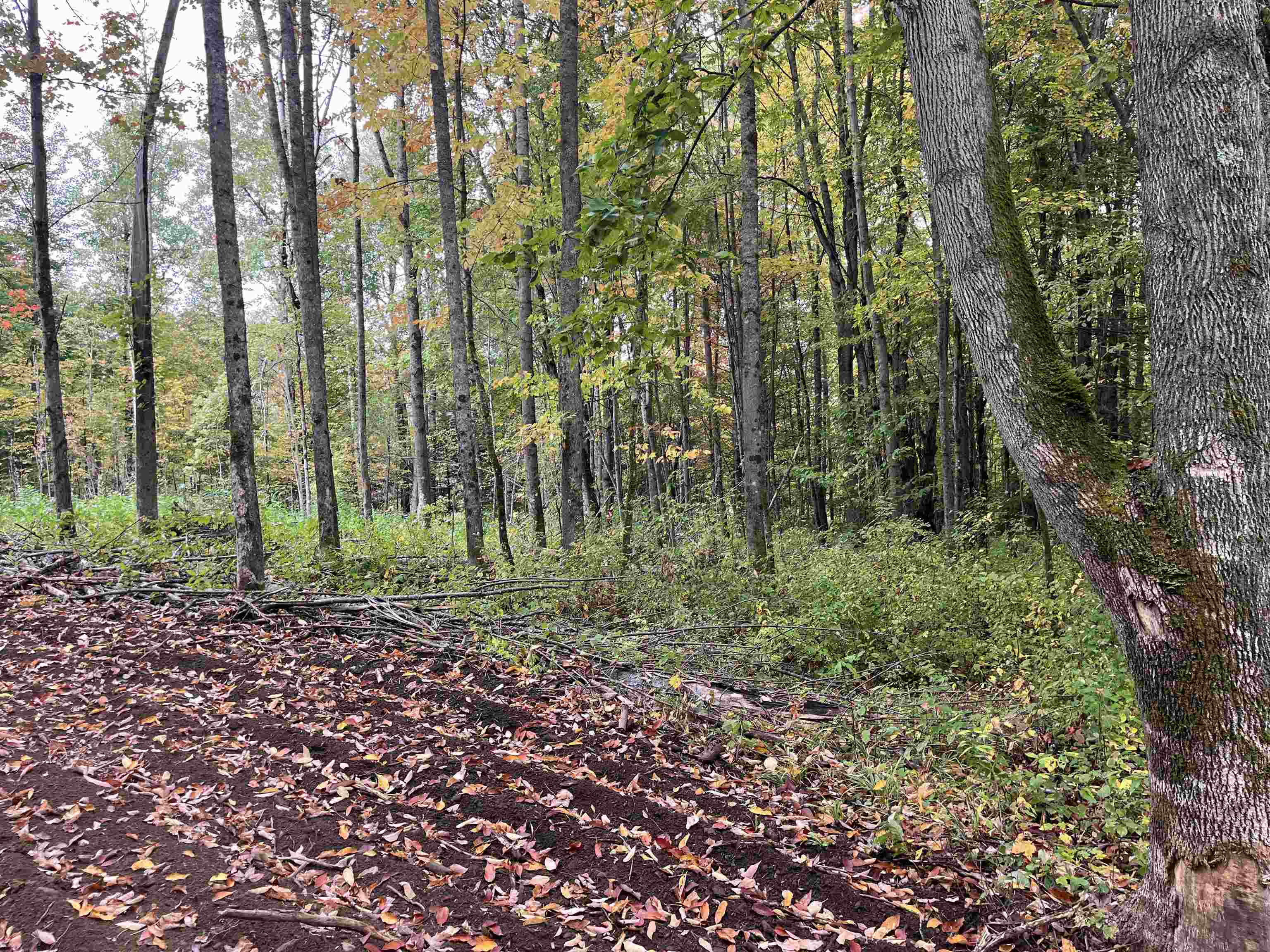 Homes for sale in Barton, VT | 002 Duck Pond Rd, Barton, VT 05822 | MLS# 5063145