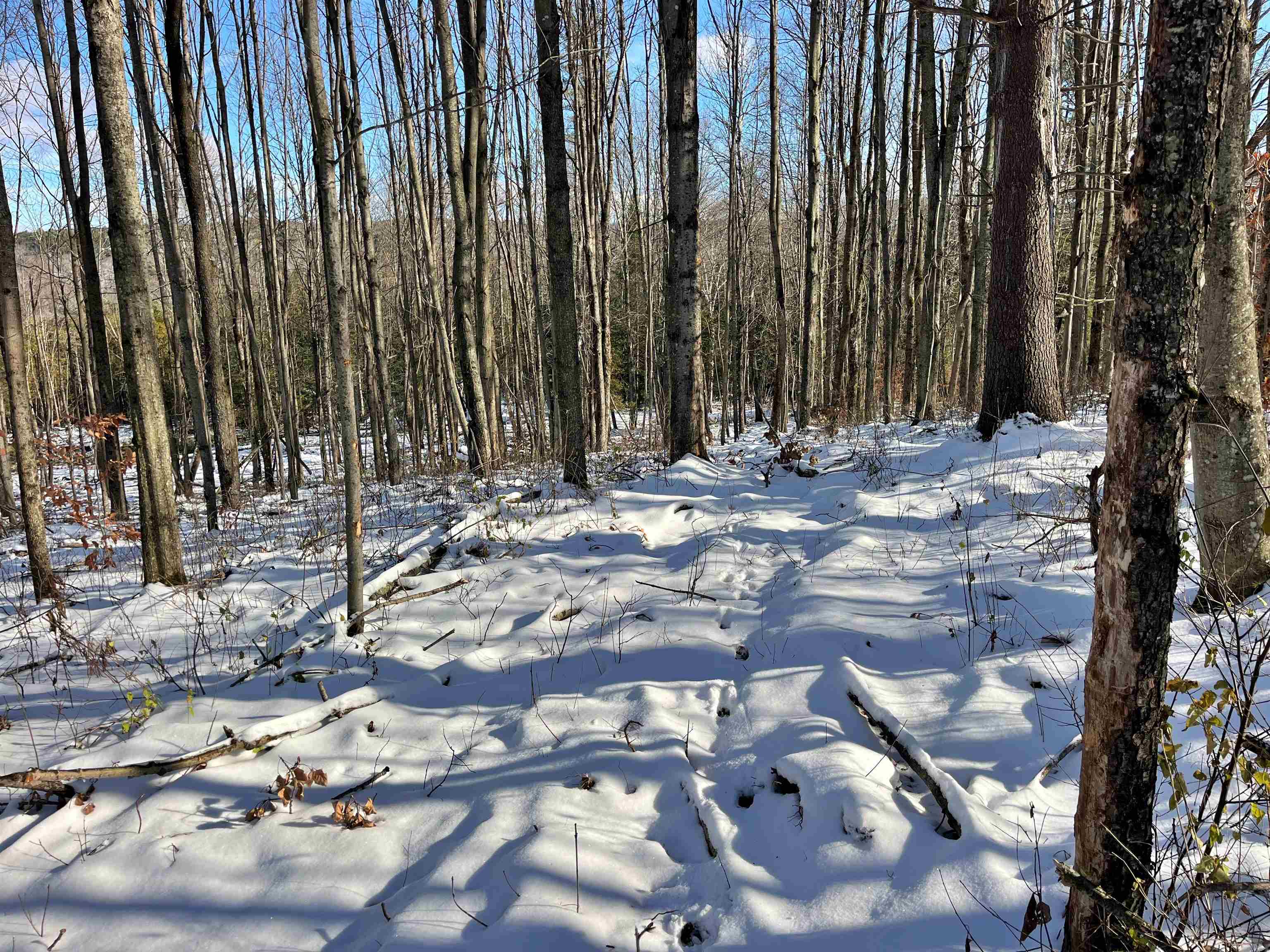 Homes for sale in Barton, VT | 001 Duck Pond Rd, Barton, VT 05822 | MLS# 5063148