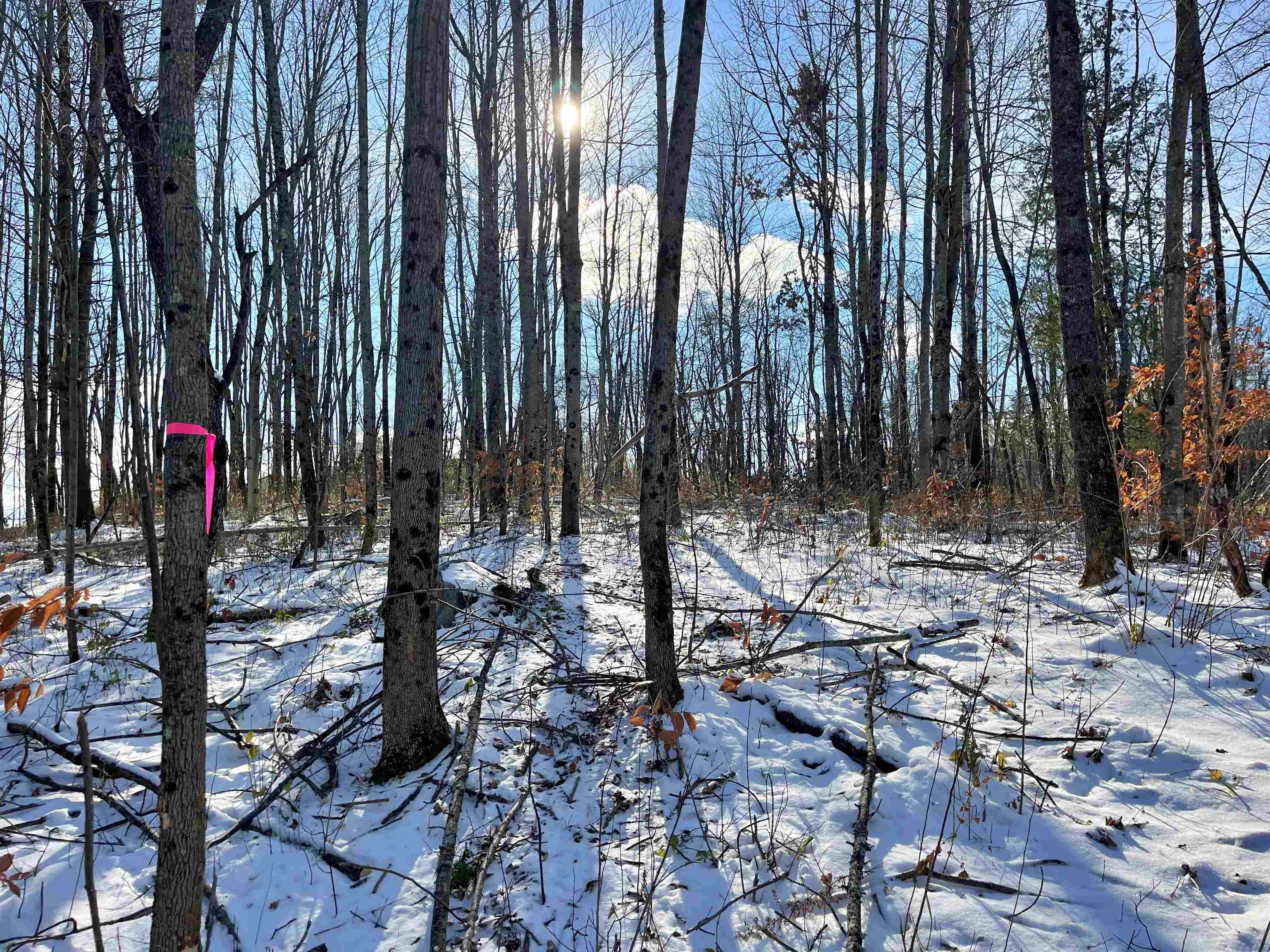 Homes for sale in Barton, VT | 001 Duck Pond Rd, Barton, VT 05822 | MLS# 5063148