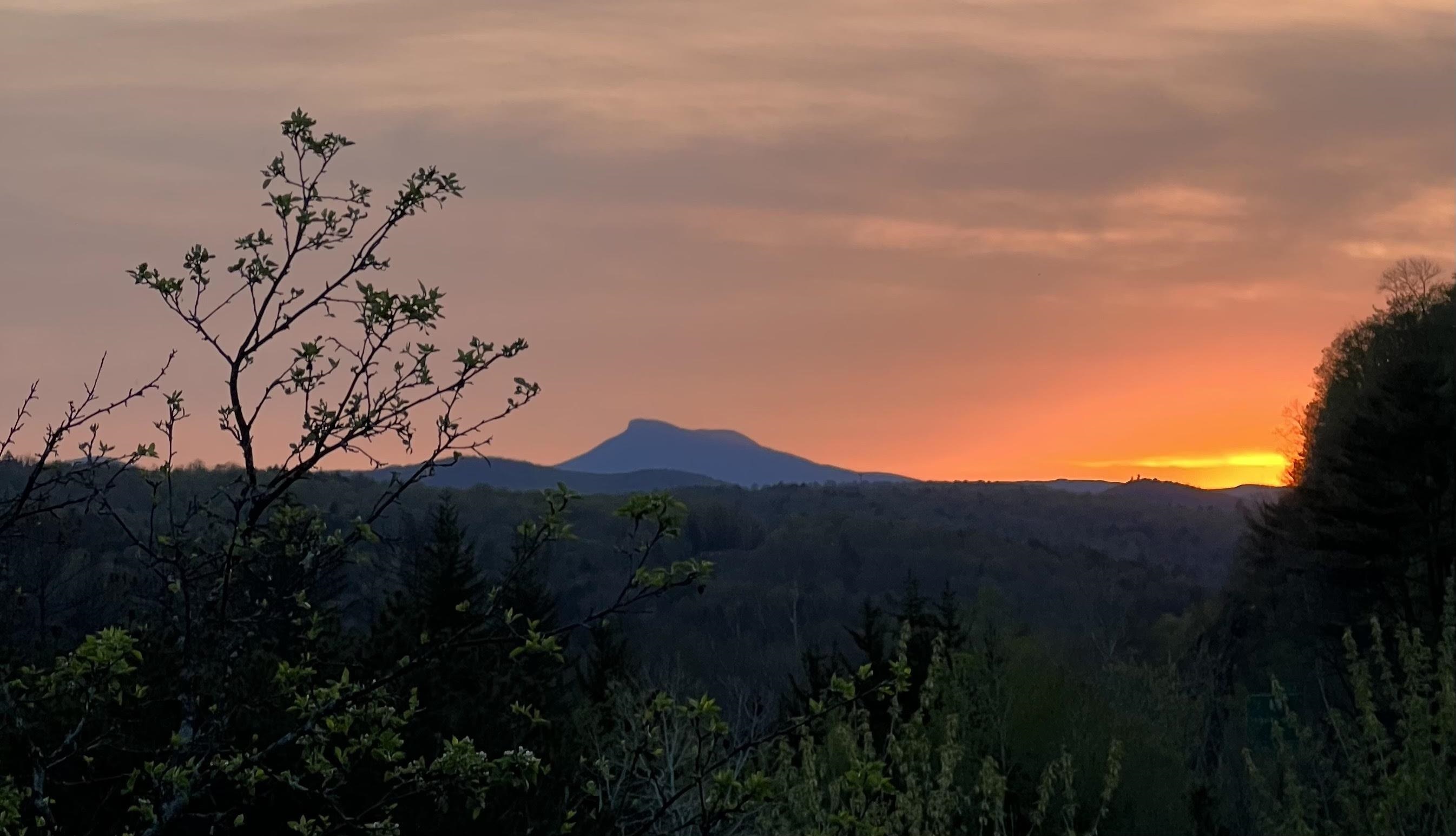 Homes for sale in Montpelier, VT | 85 Freedom Dr, Montpelier, VT 05602 | MLS# 5063169