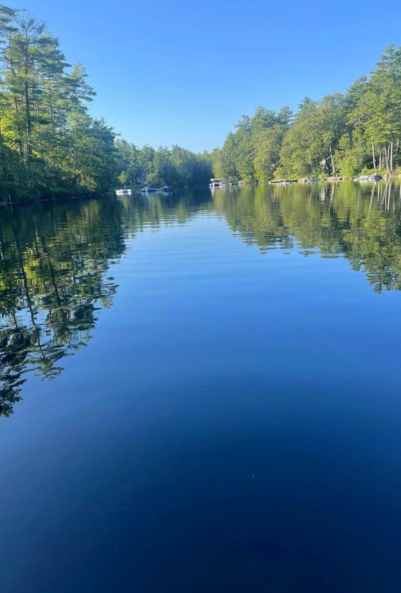 MLS #5063249 image #8