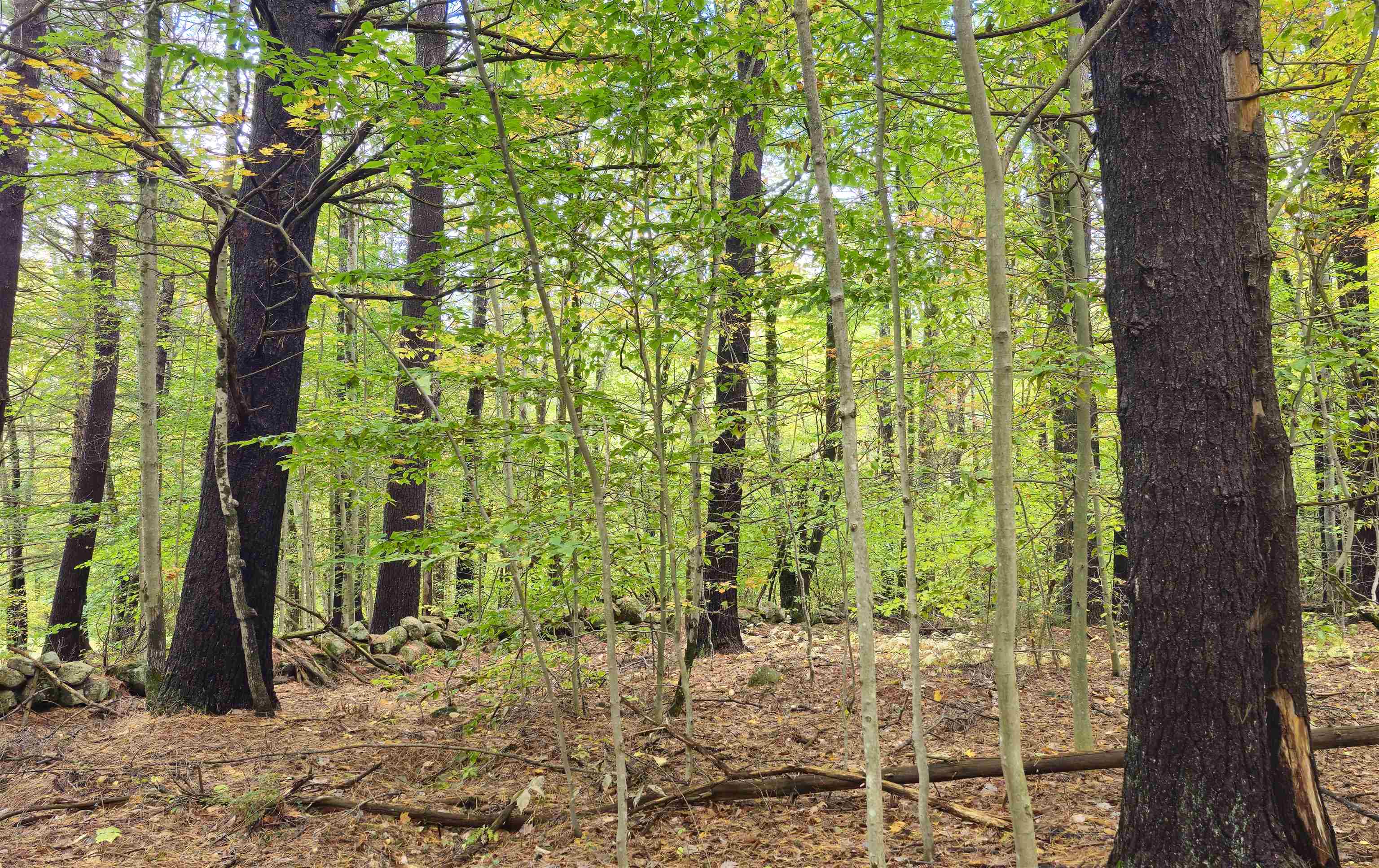 Homes for sale in Henniker, NH | 586 C-4 Craney Hill Rd, Henniker, NH 03242 | MLS# 5063267