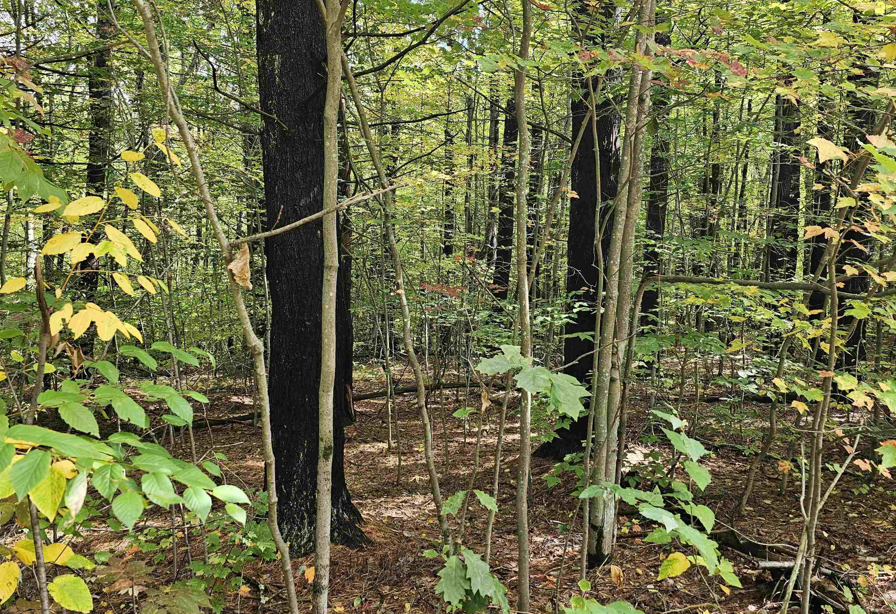 Homes for sale in Henniker, NH | 586 C 4 Craney Hill Rd, Henniker, NH 03242 | MLS# 5063267