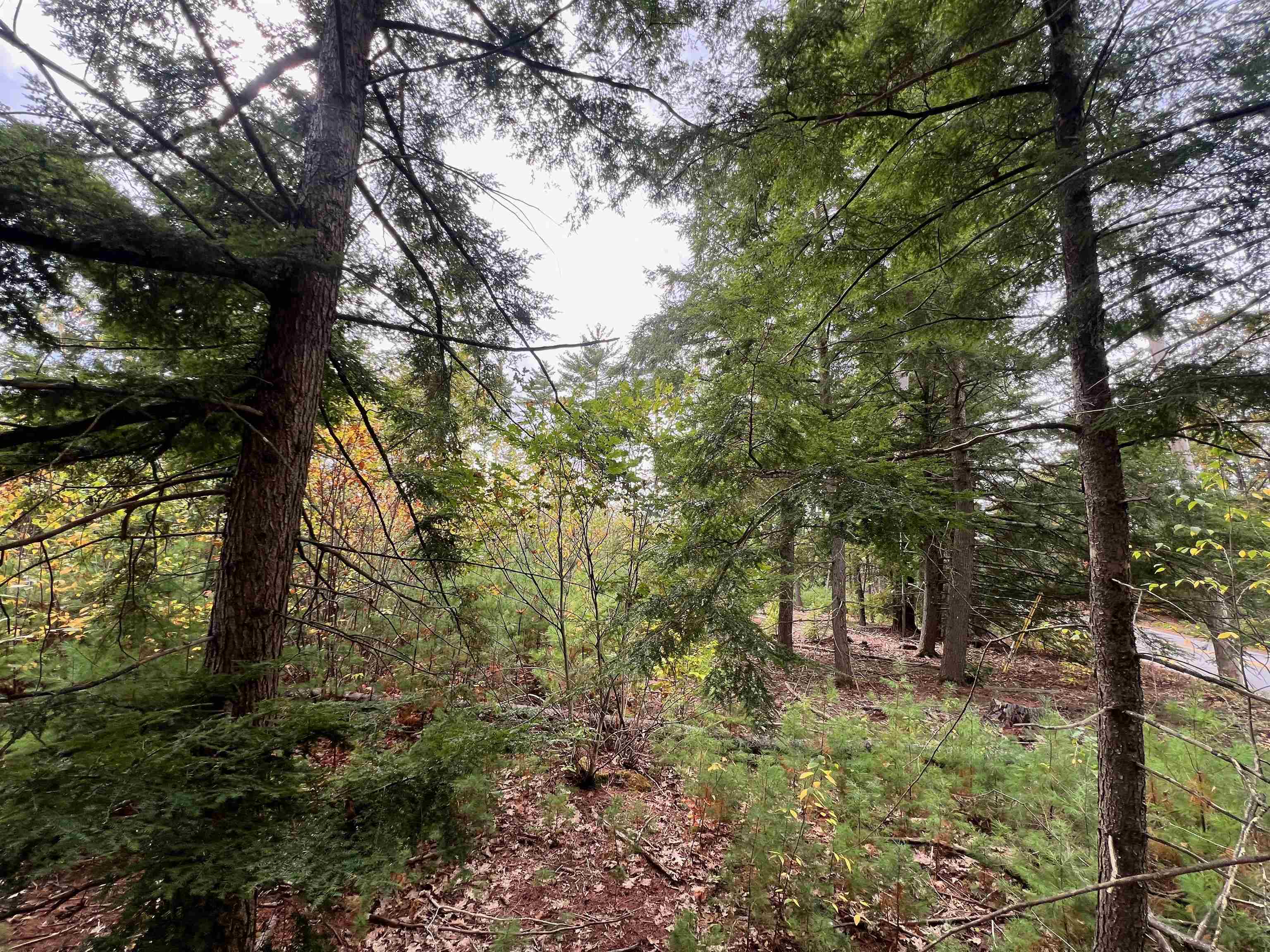 Harrisville NH Land for sale $$150,000 | 16.1 Acres  | Price Per Acre $0 