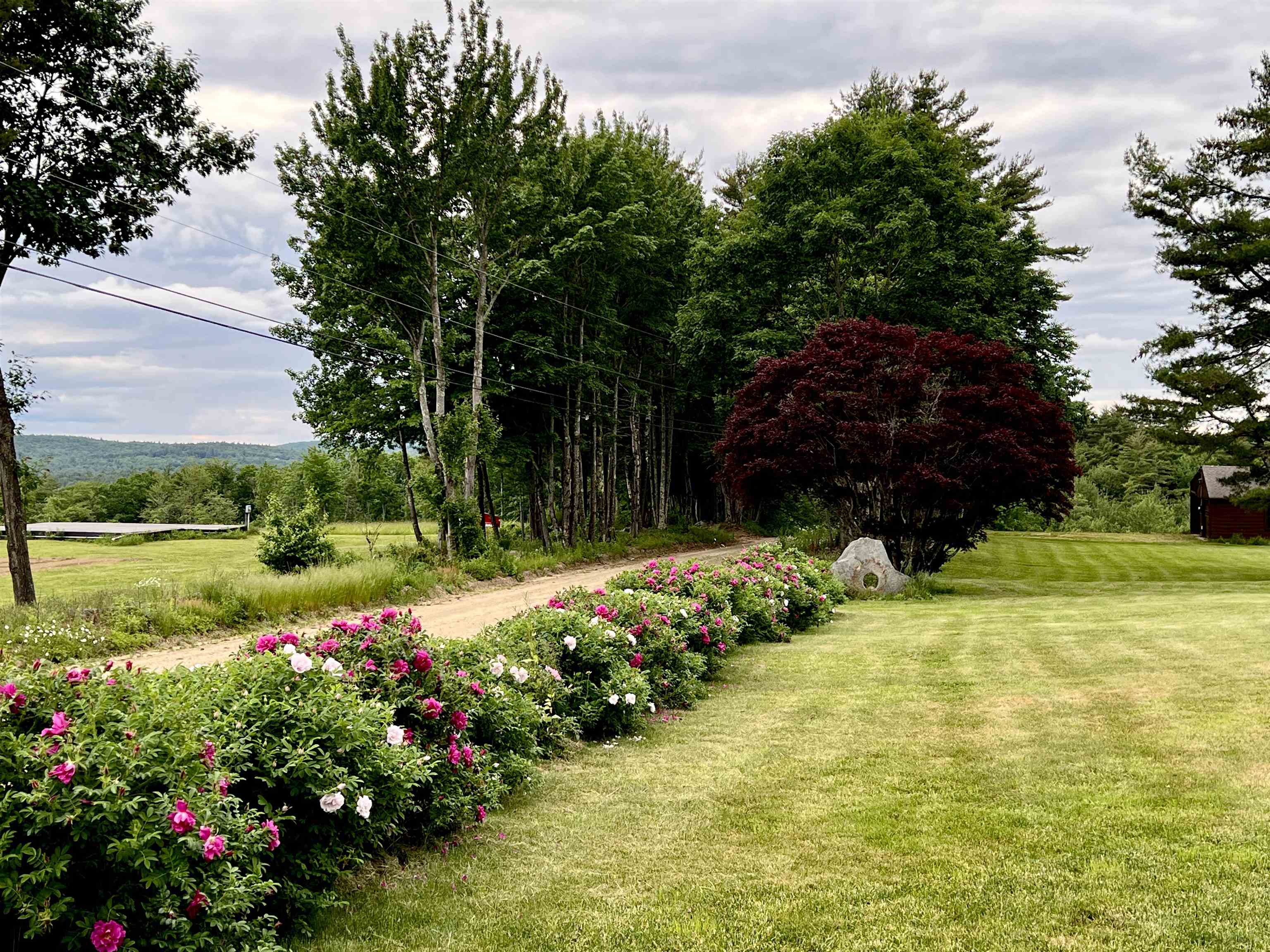 MLS #5063332 image #32