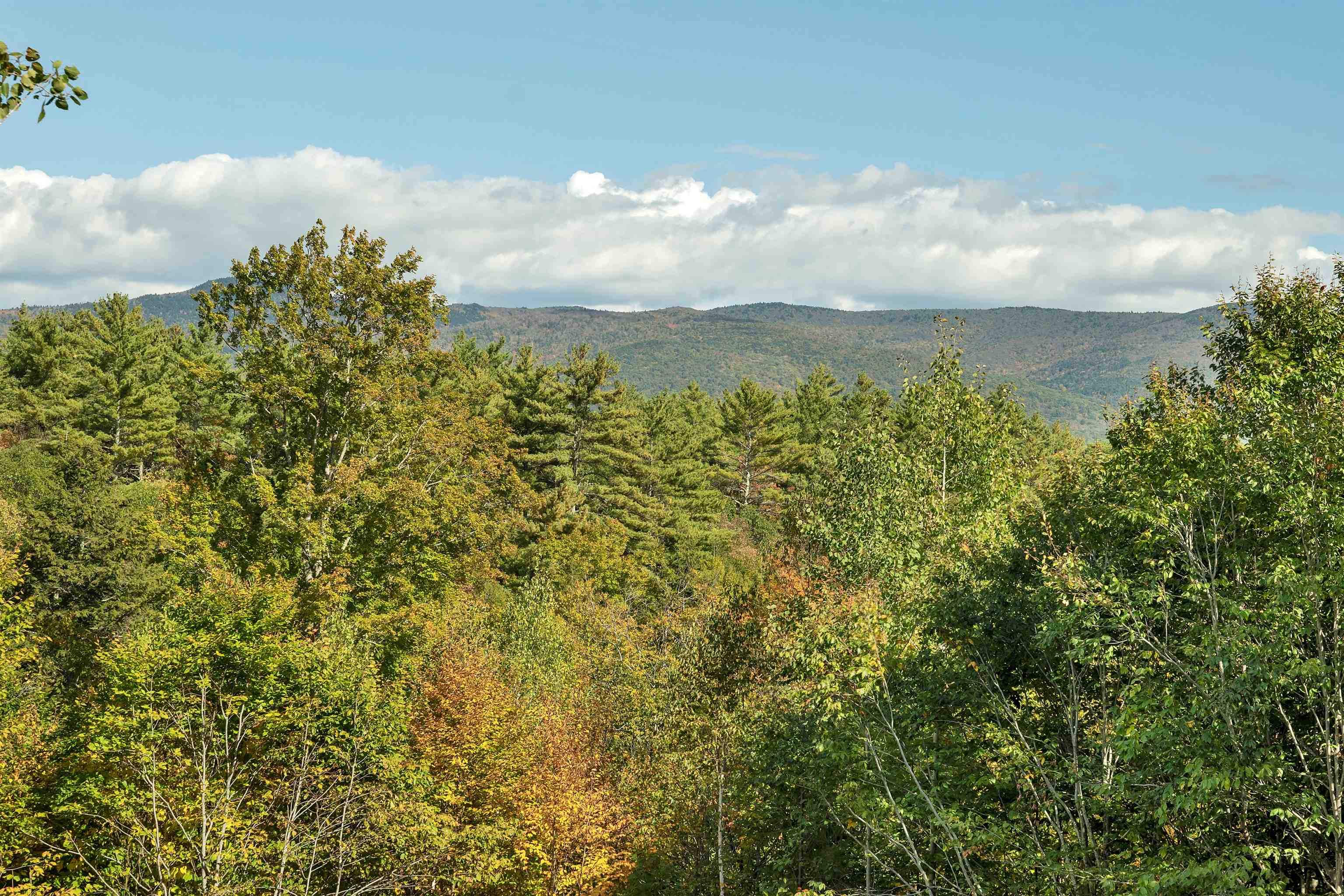 MLS #5063365 image #5