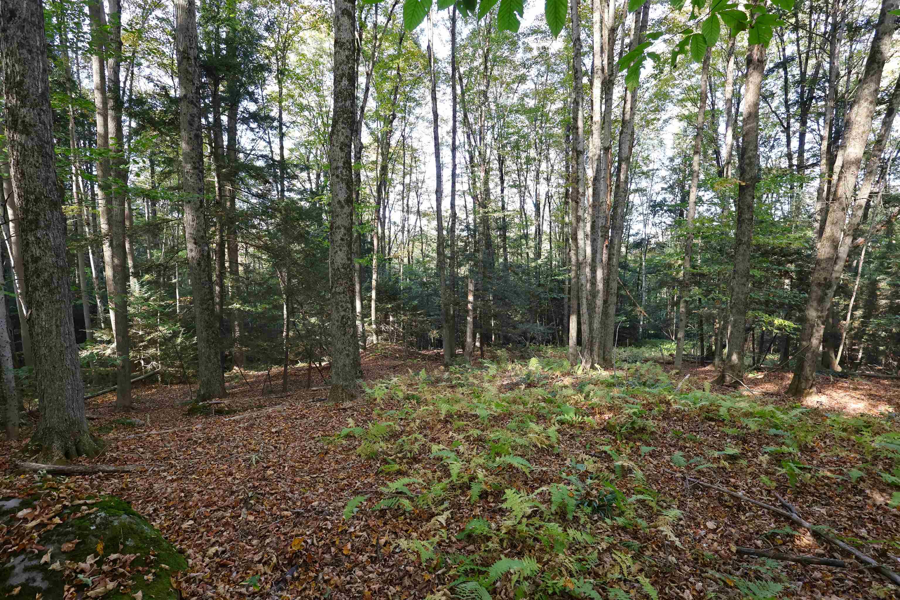 VILLAGE OF WHITE RIVER JUNCTION IN TOWN OF HARTFORD VT LAND  for sale $$137,000 | 5.39 Acres  | Price Per Acre $0  | Total Lots 2