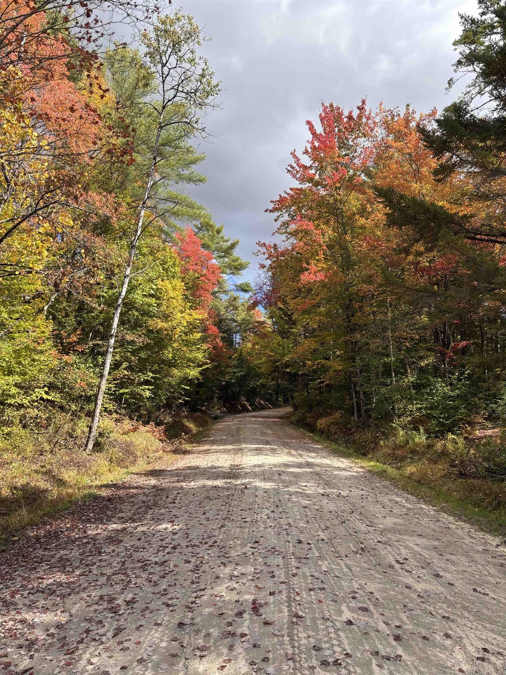 Ball Park Rd. 24177362