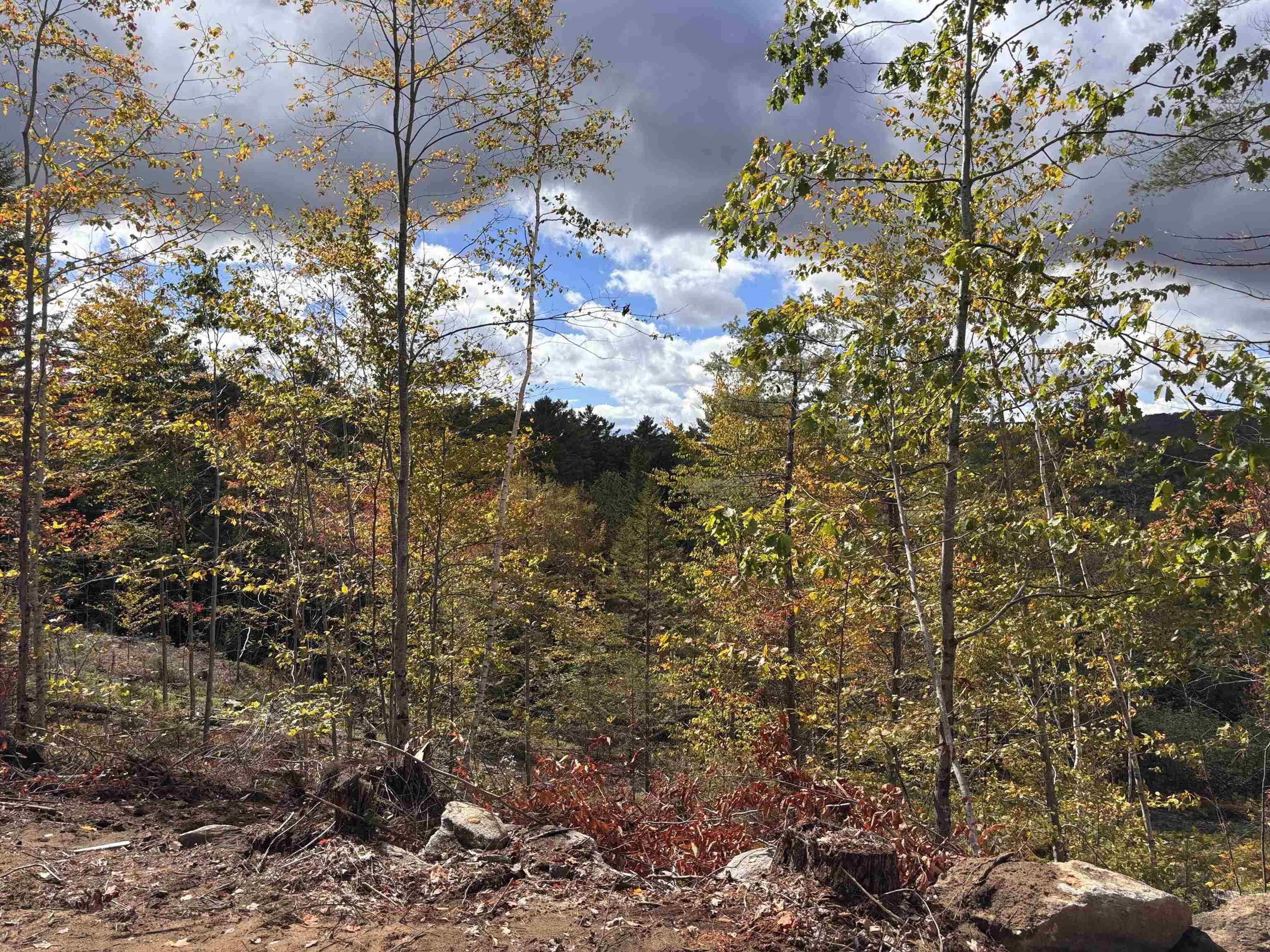 Lot 11-2 Ball Park Rd, Goshen, NH 03752