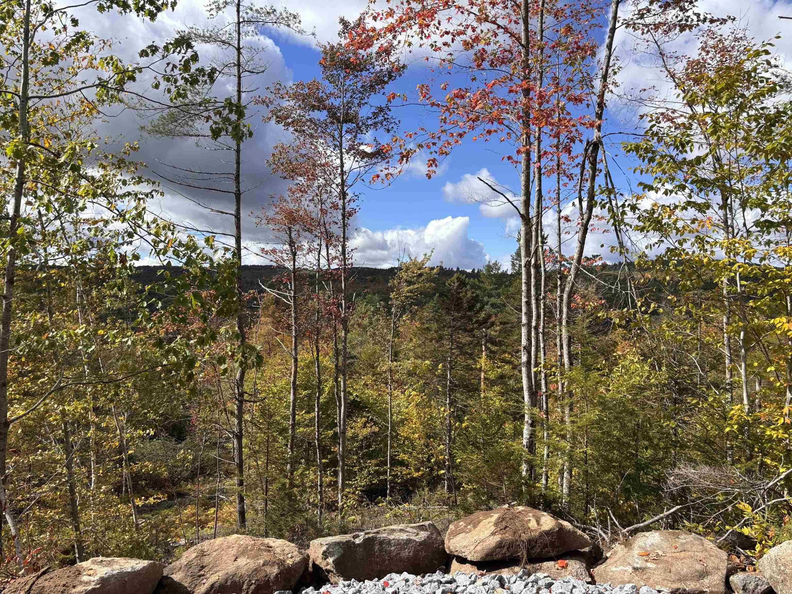 Lot 11-2 Ball Park Rd, Goshen, NH 03752