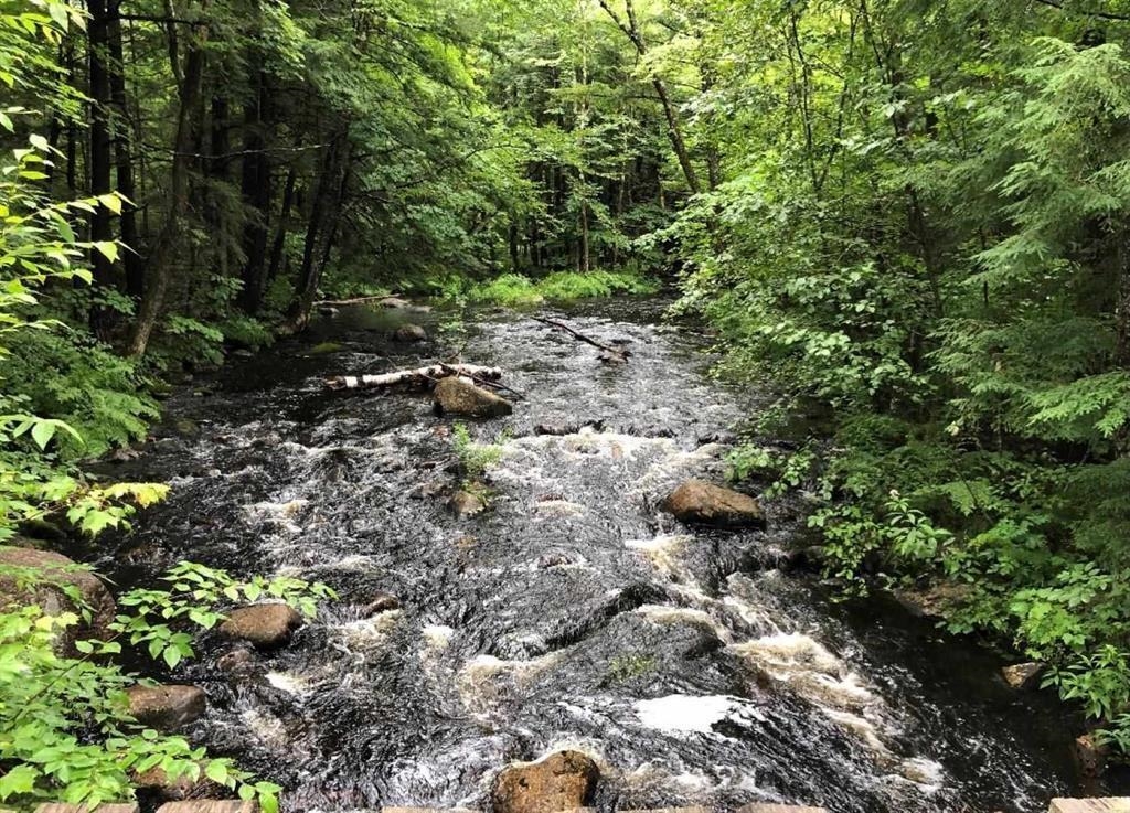 MLS #5063496 image #3