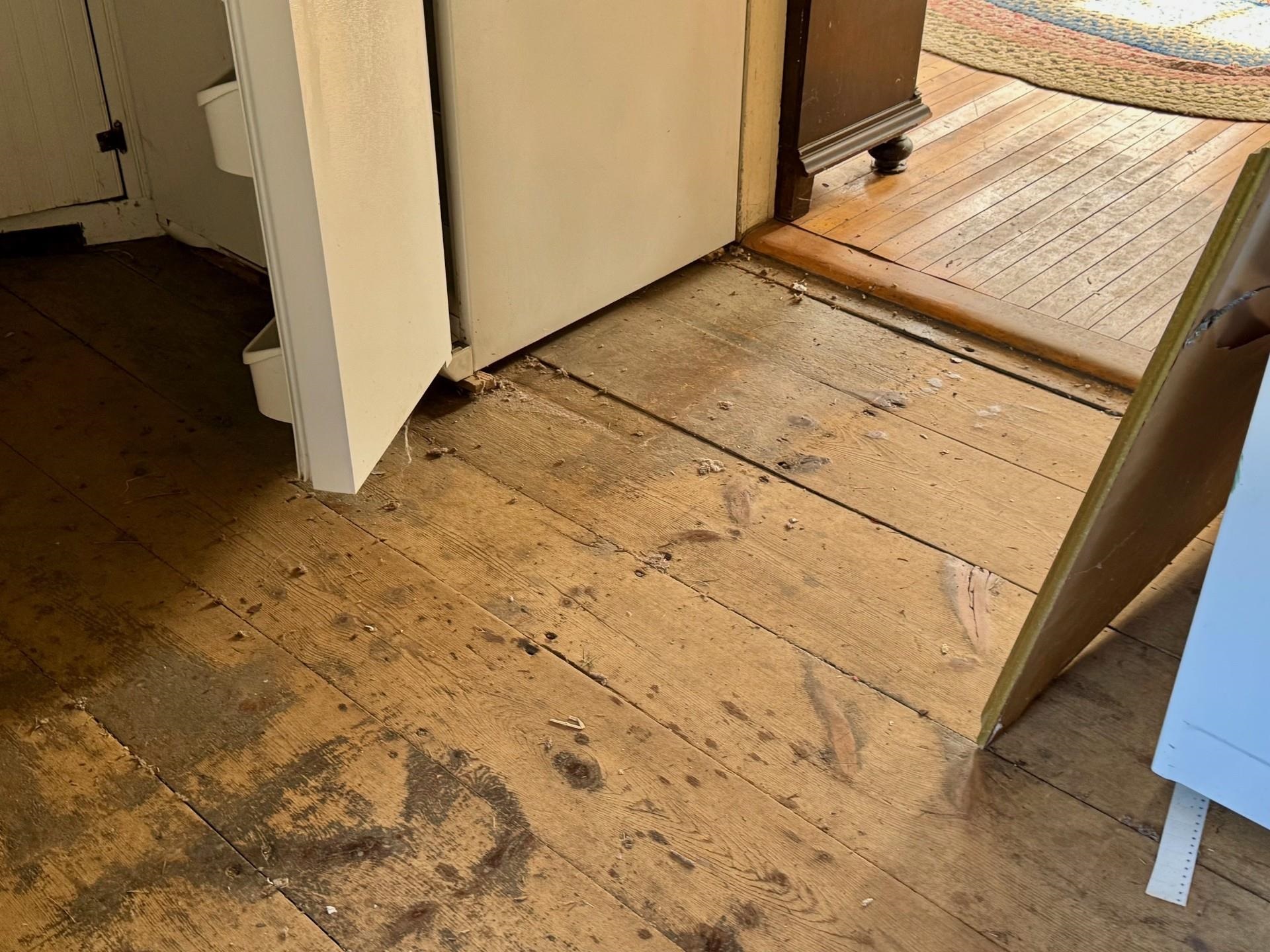 Wide boards 24181771