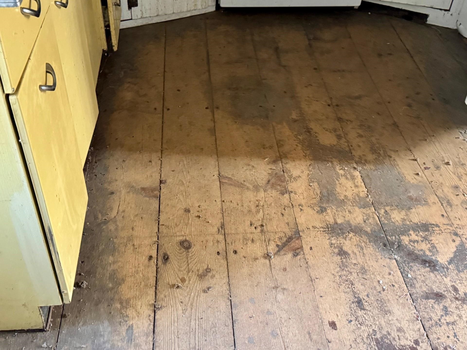 beautiful wood floors 24181767