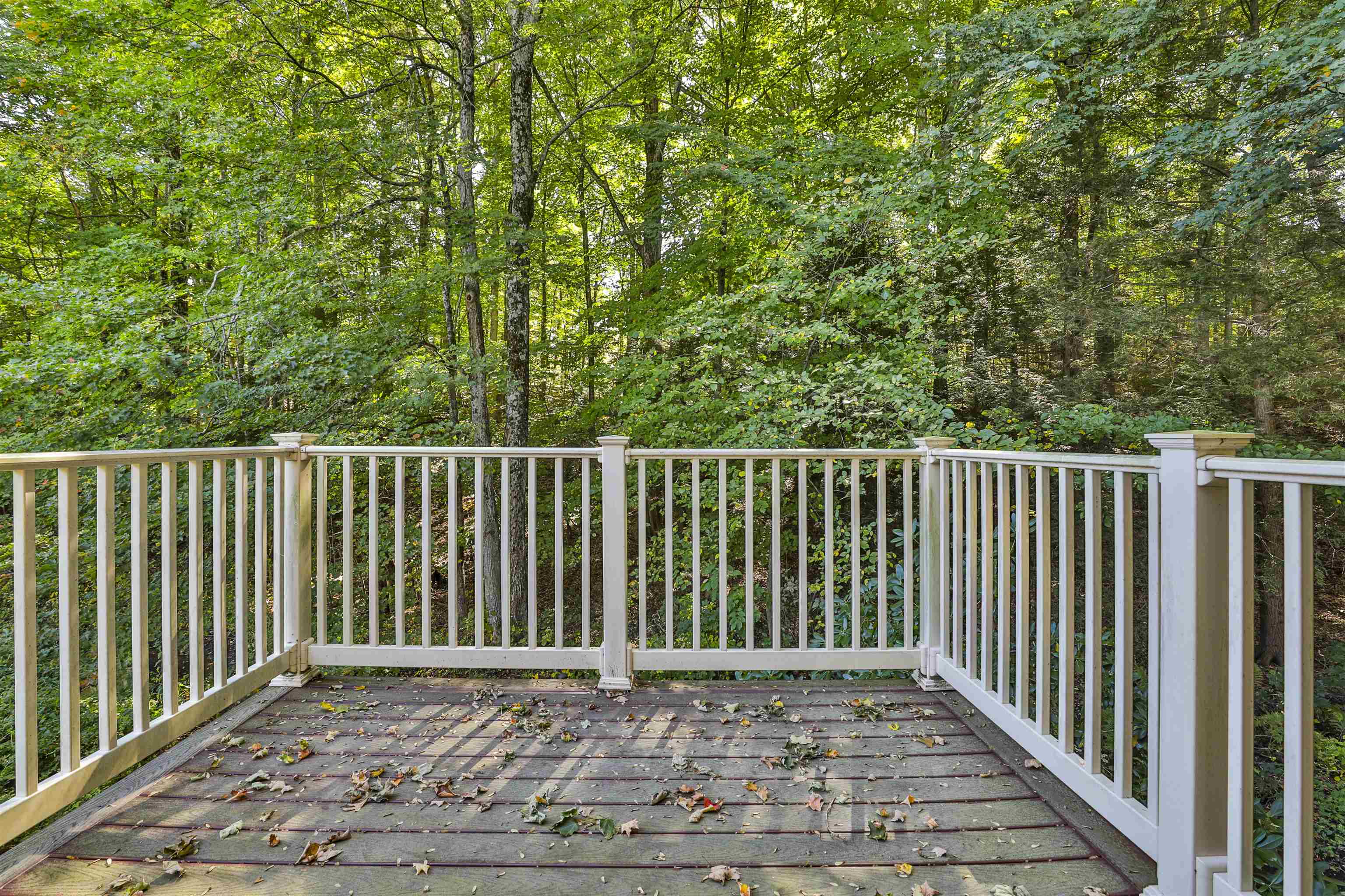 MLS #5063579 image #4