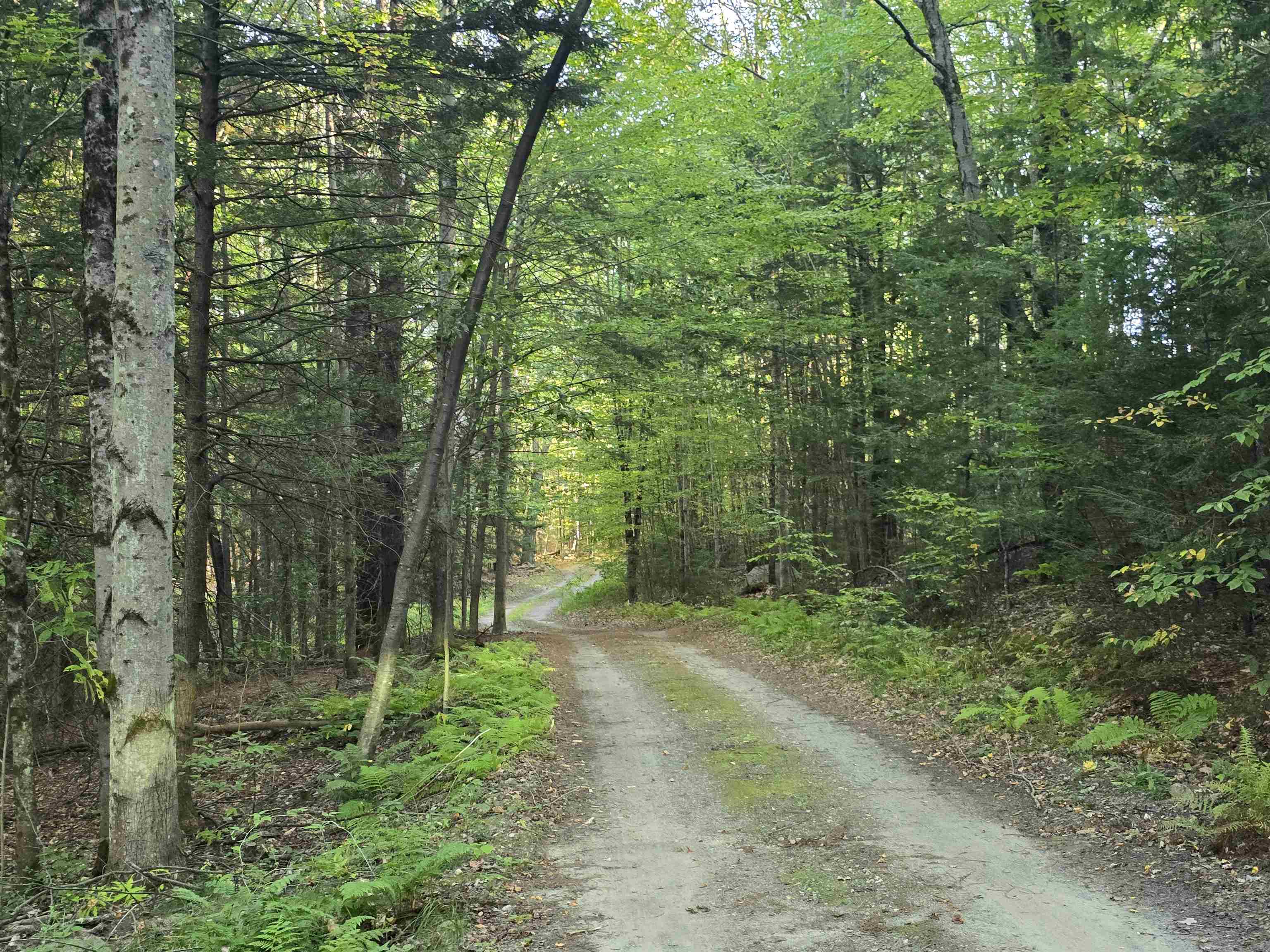 WESTMINSTER VT LAND  for sale $$125,000 | 15.6 Acres  | Price Per Acre $0  | Total Lots 3