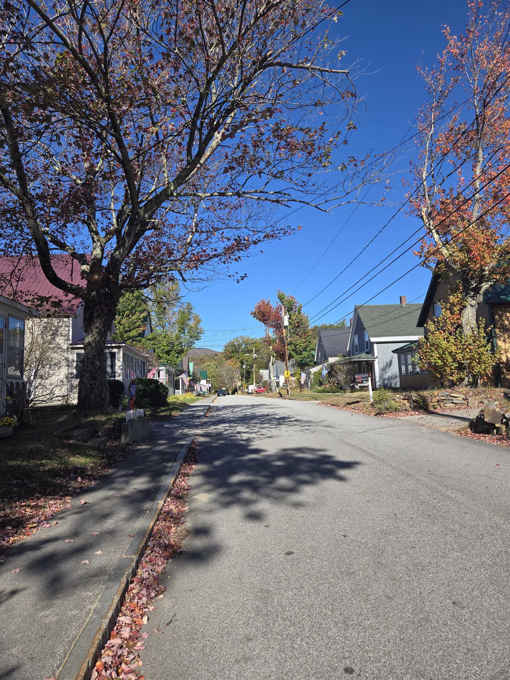 MLS #5063813 image #15