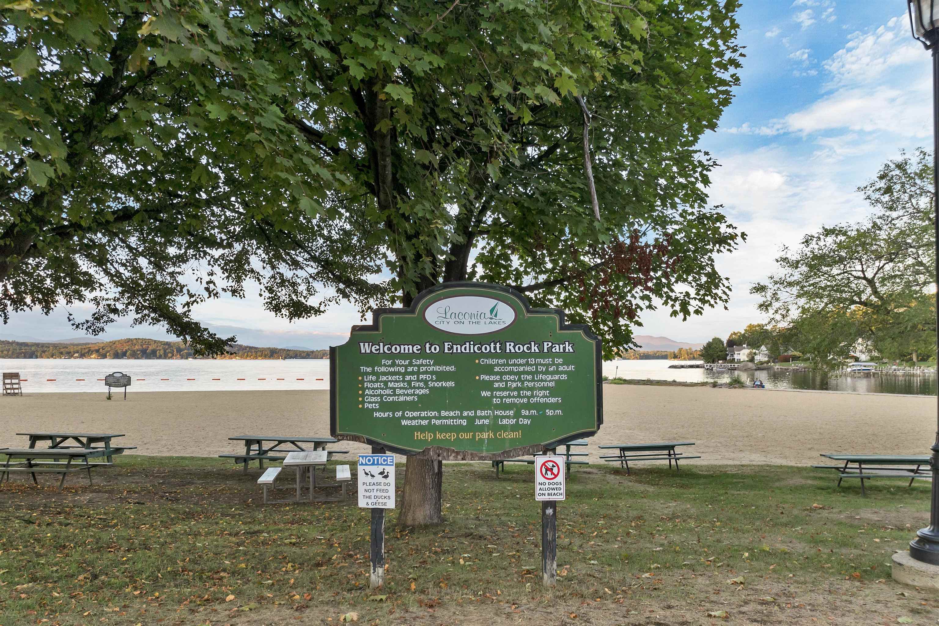 MLS #5063911 image #46