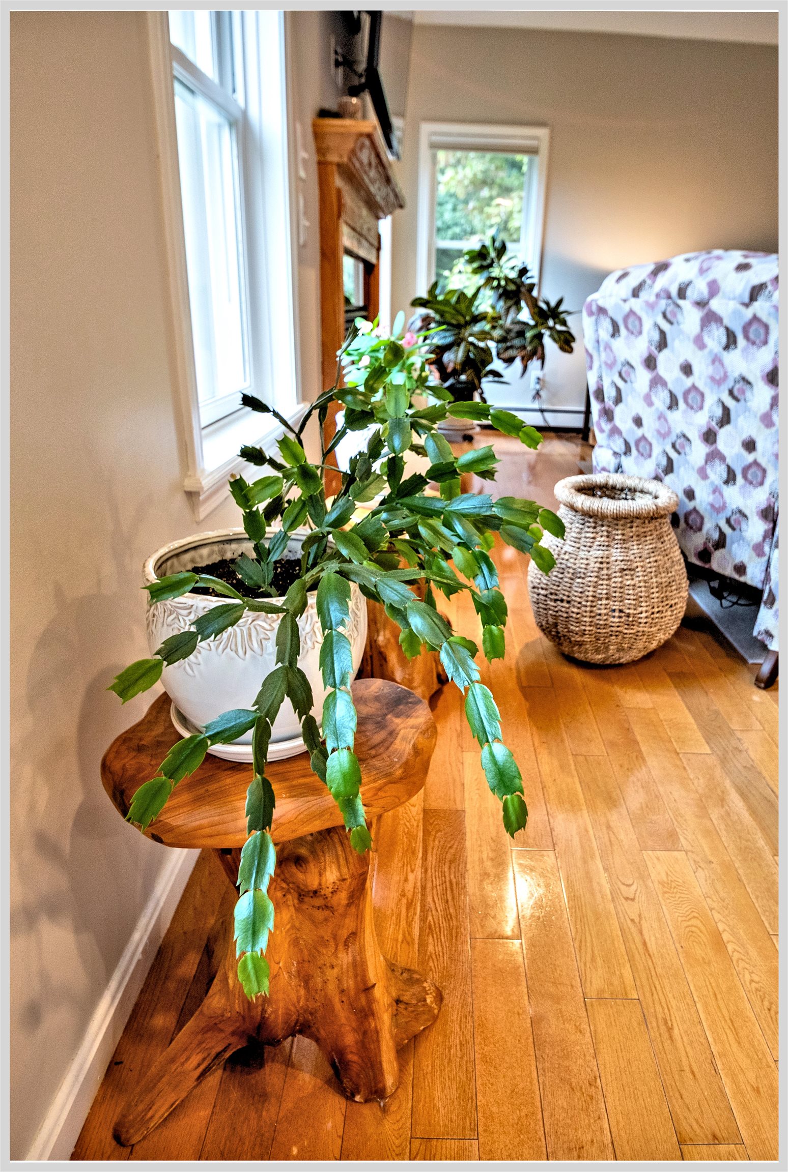 MLS #5063947 image #17