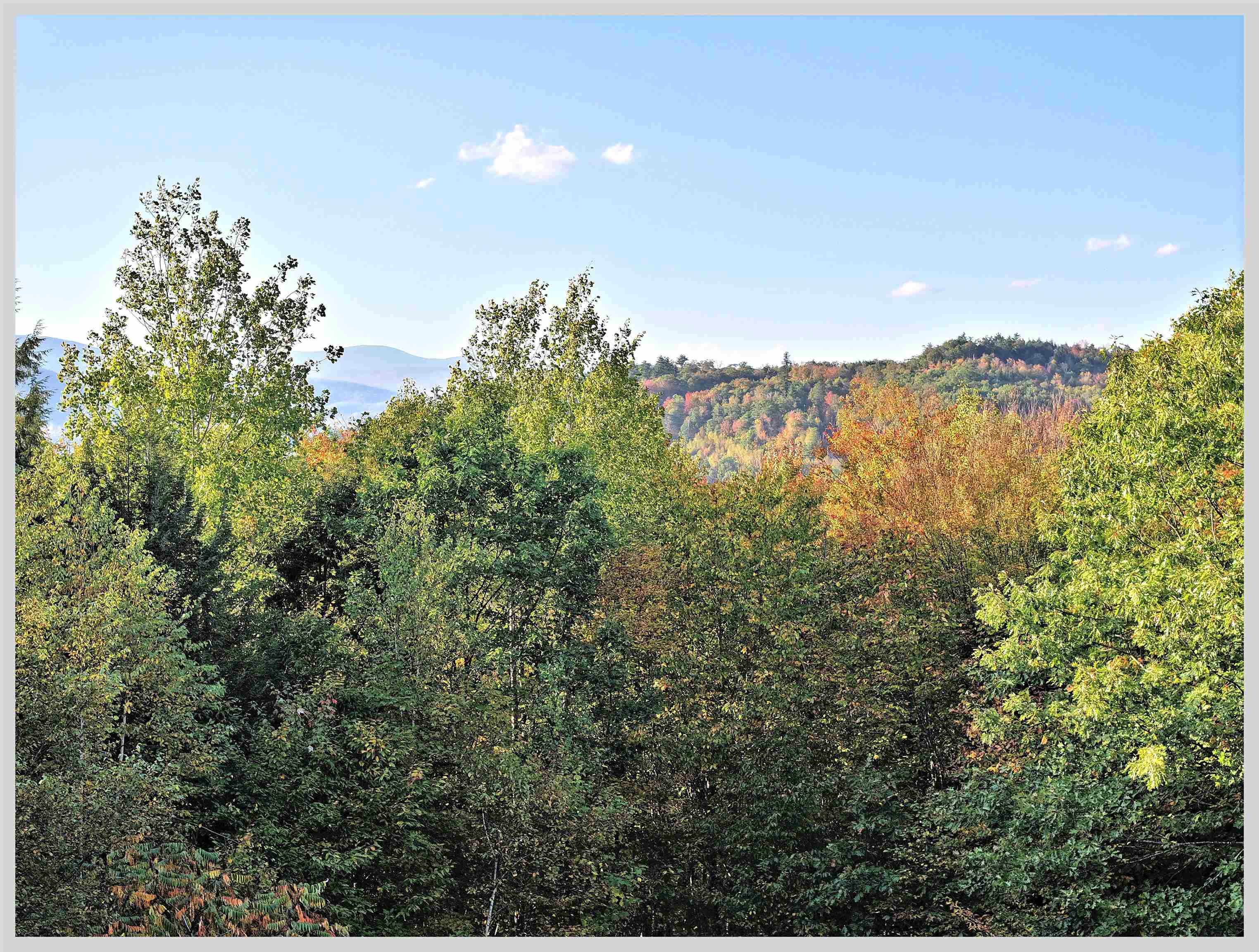 MLS #5063947 image #26